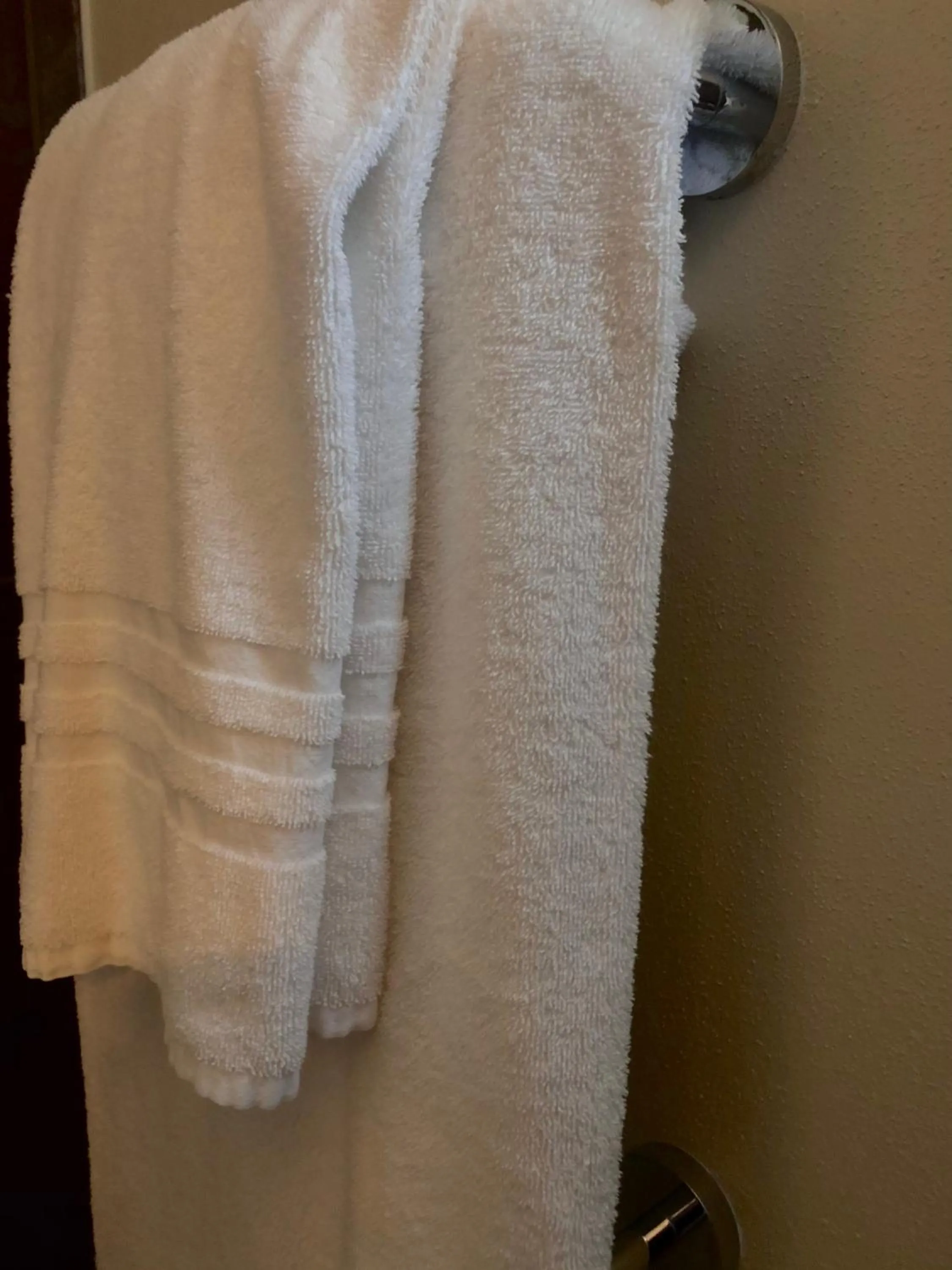 towels in Stile Libero