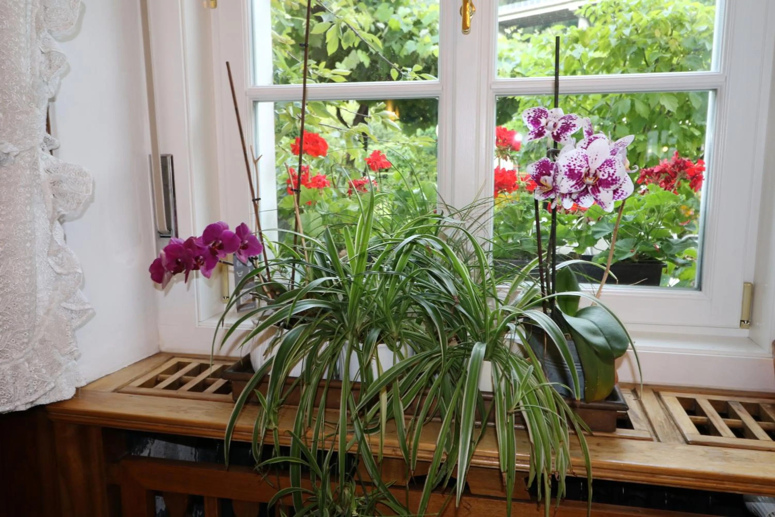 Restaurant/places to eat in Parkhotel Post