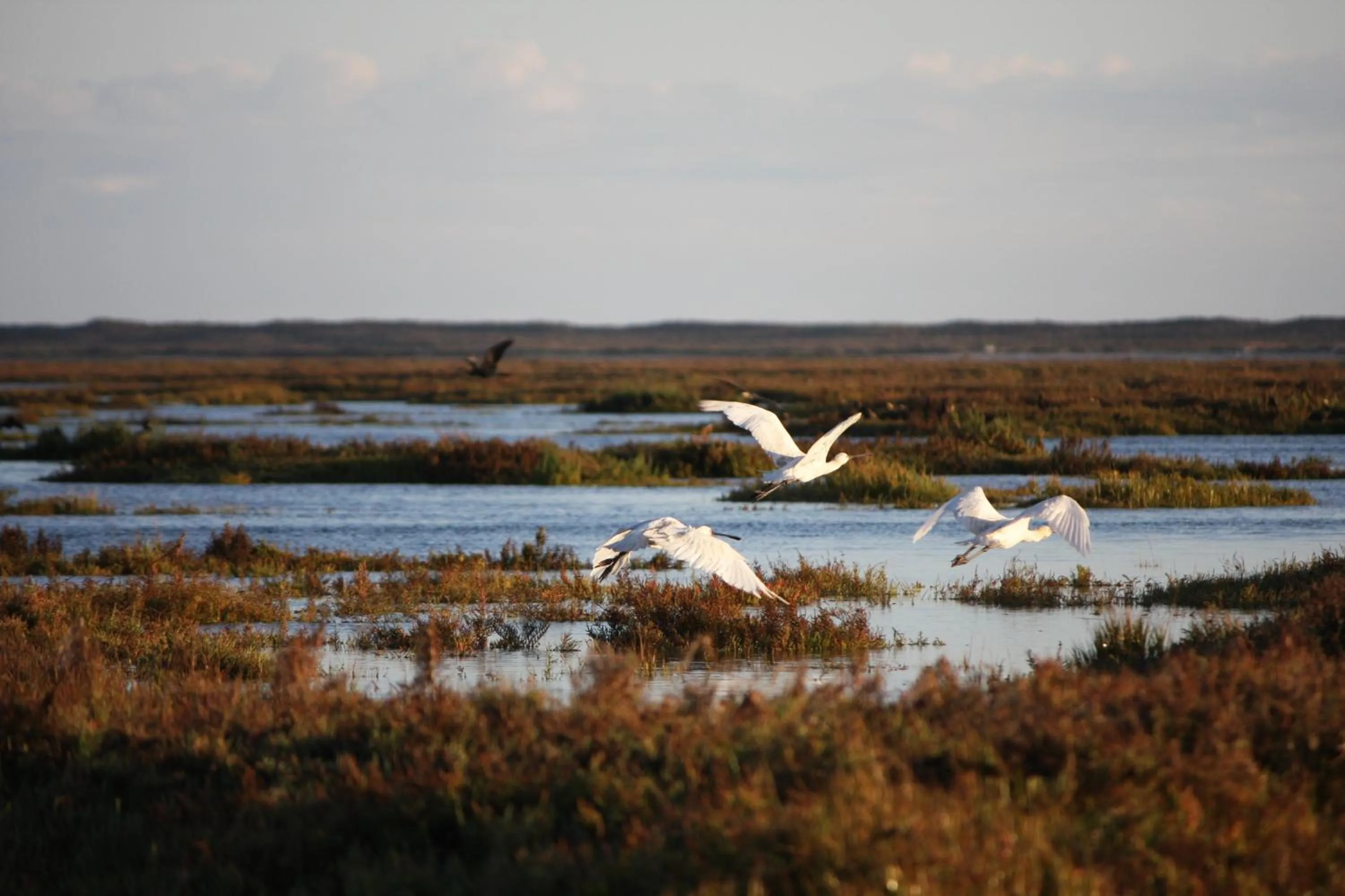 Area and facilities in Villa Mar Azul