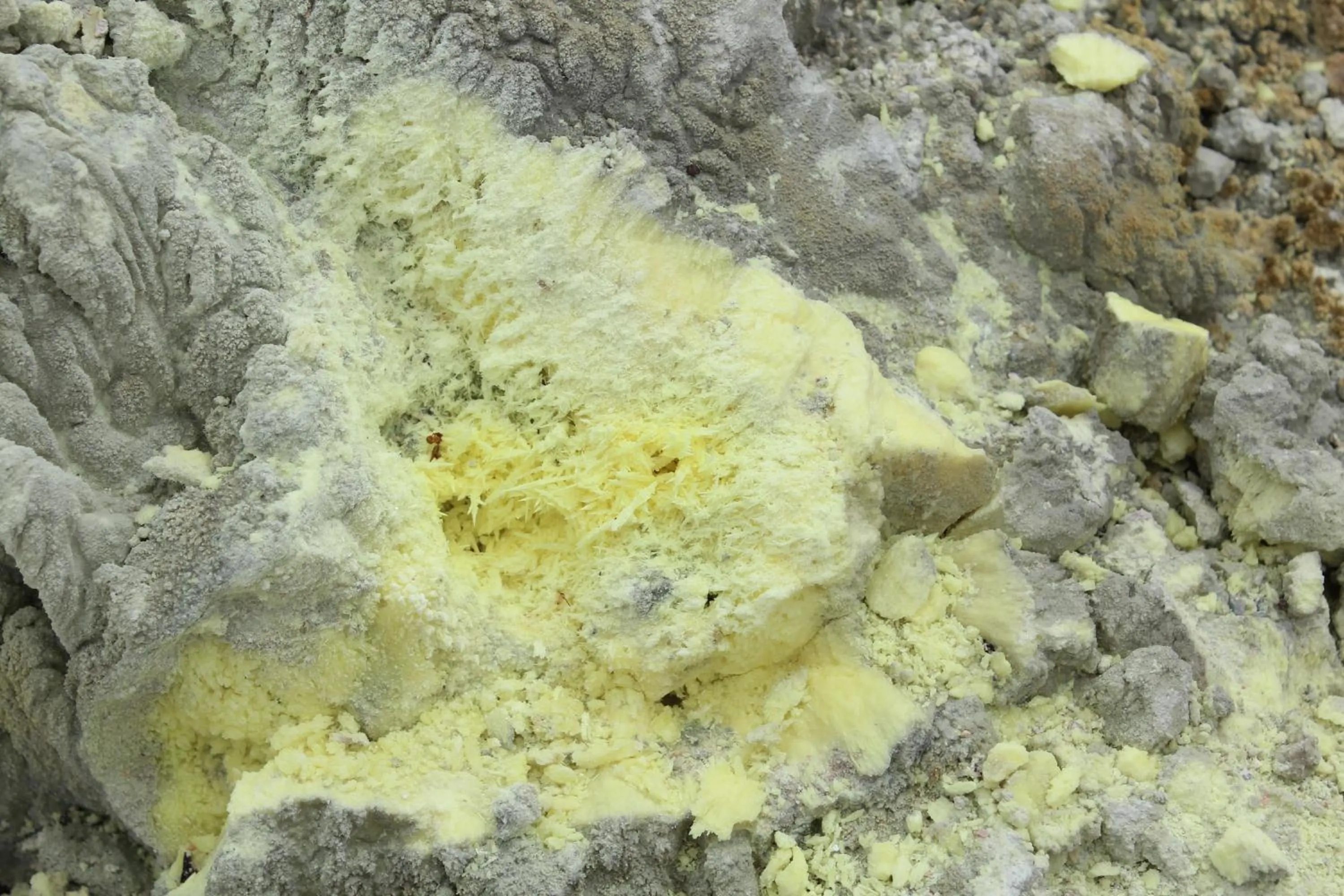 Day in Hotel Albemarle Galapagos Beachfront