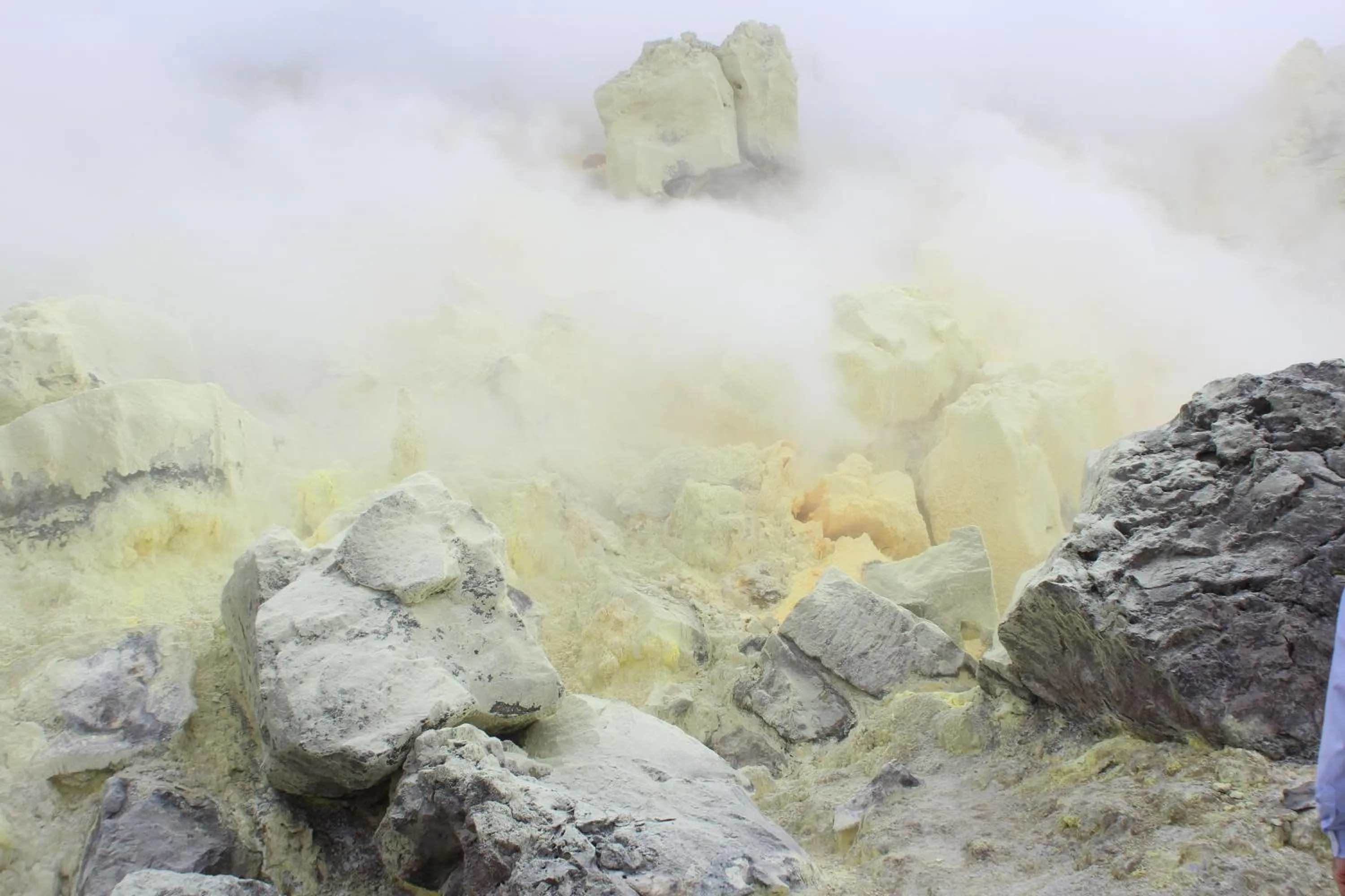 Day in Hotel Albemarle Galapagos Beachfront