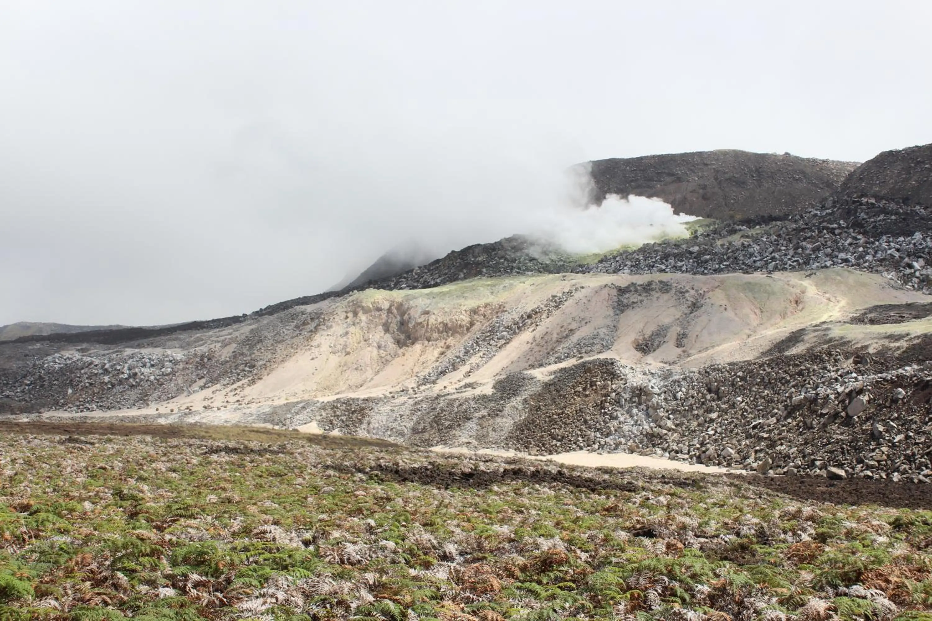 Nearby landmark in Hotel Albemarle Galapagos Beachfront