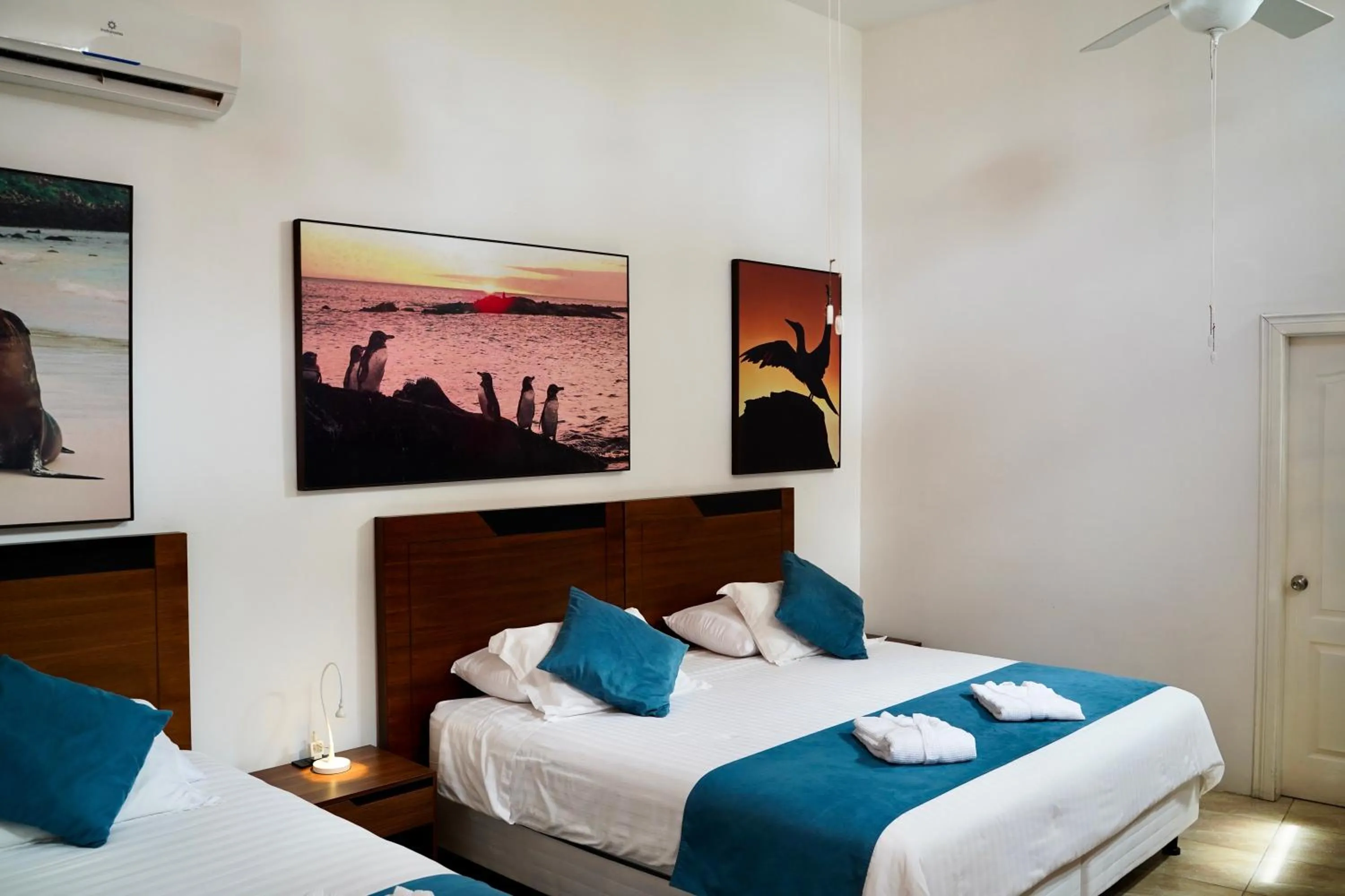 Photo of the whole room, Bed in Hotel Albemarle Galapagos Beachfront