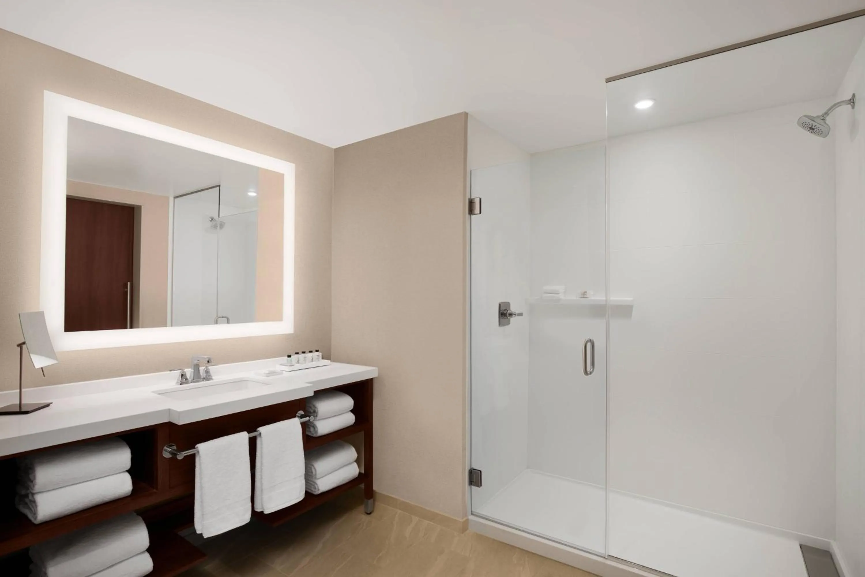 Bathroom in Marriott Dallas Allen Hotel & Convention Center