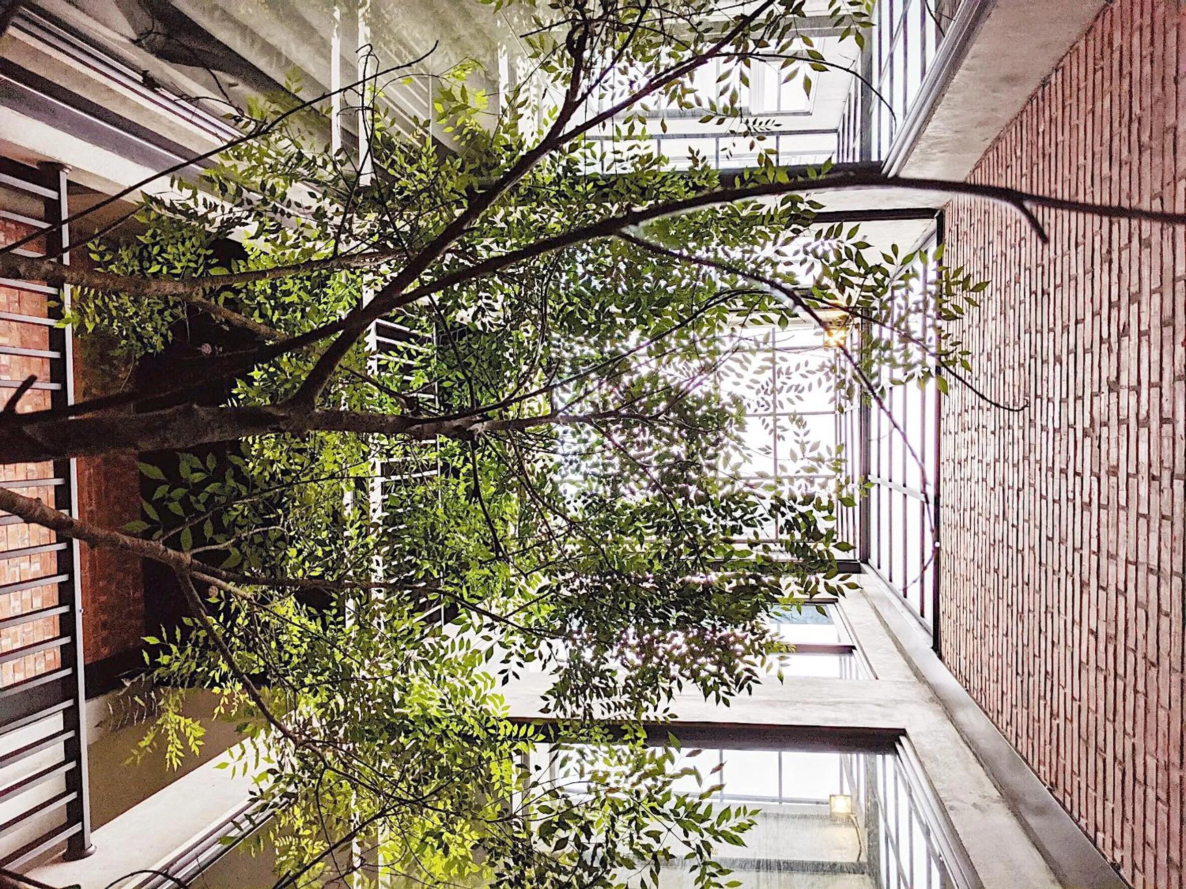 Inner courtyard view in The Gatsby Apartment