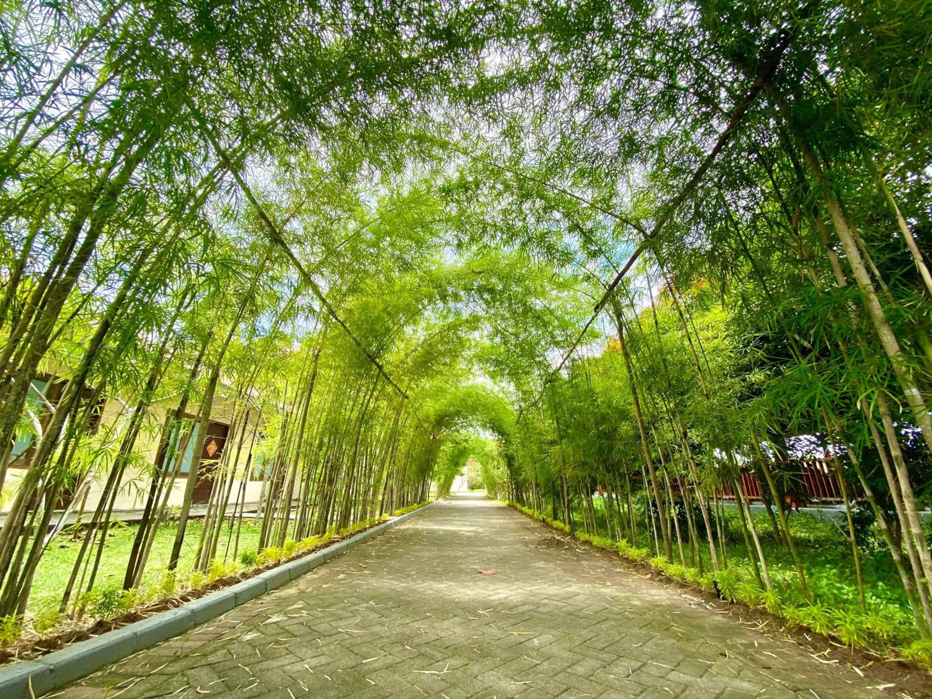 Natural landscape in NDC Resort & Spa