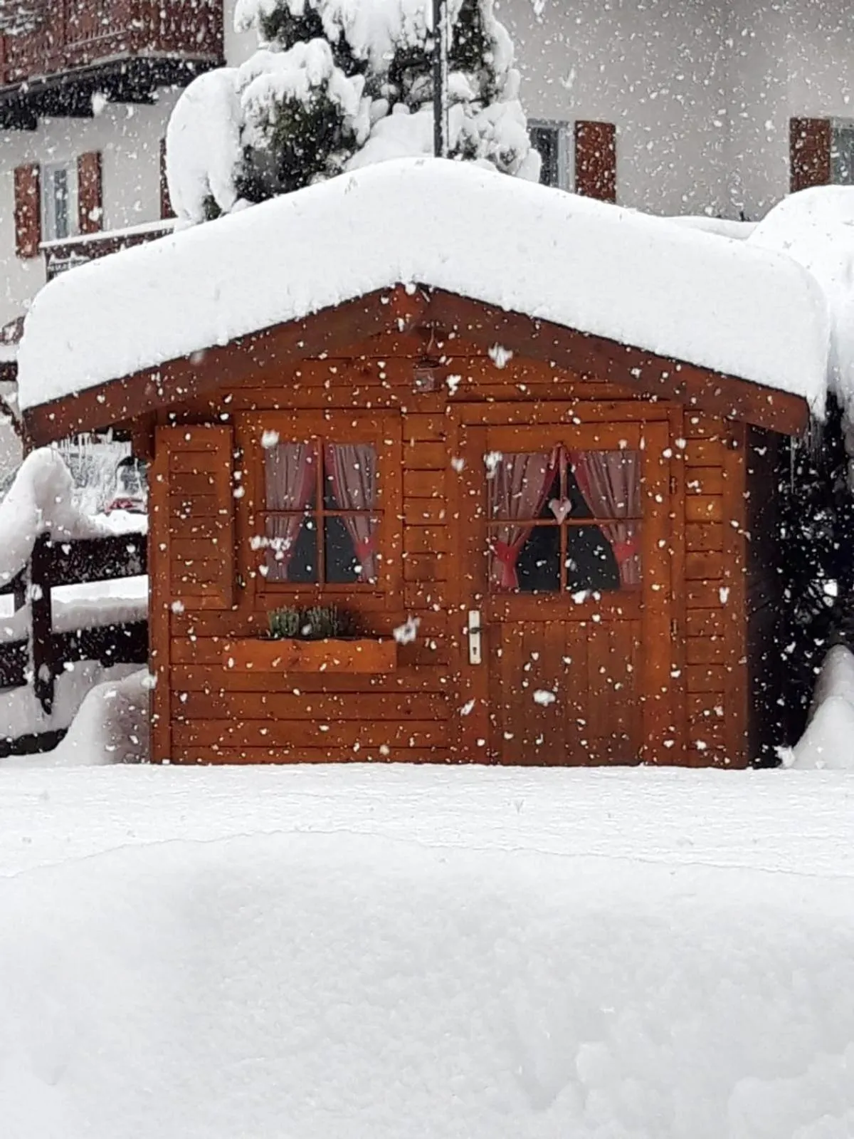 Winter in Hotel Garni Walter