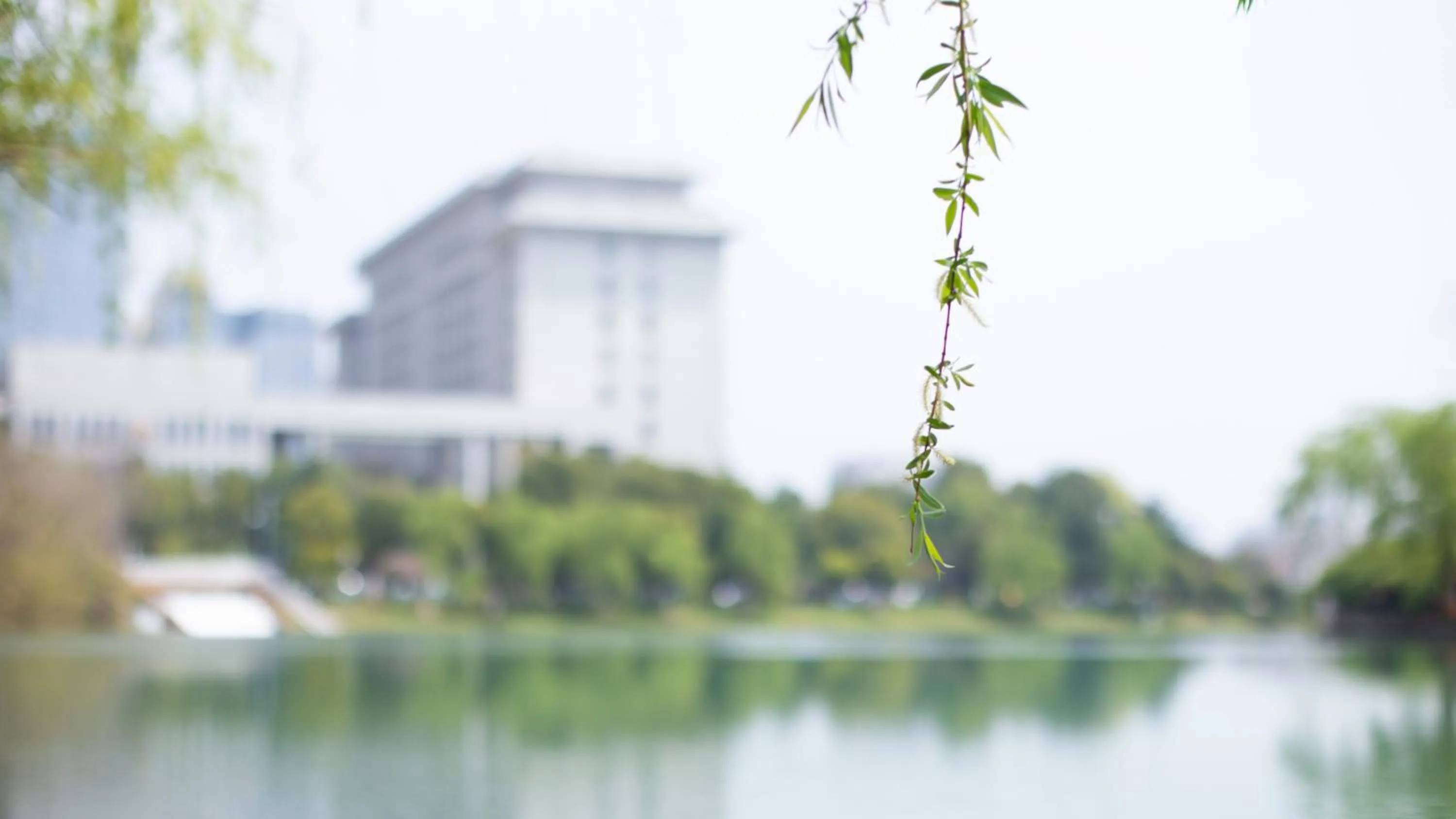 Lake view in InterContinental Hefei by IHG