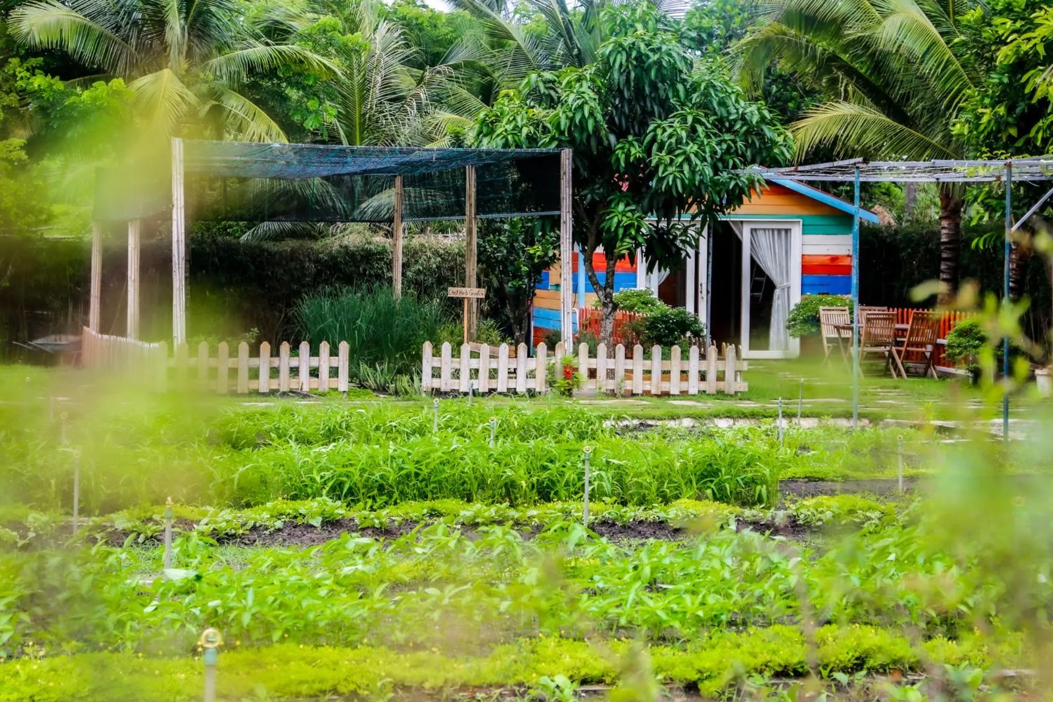 Garden in Melia Ho Tram Beach Resort