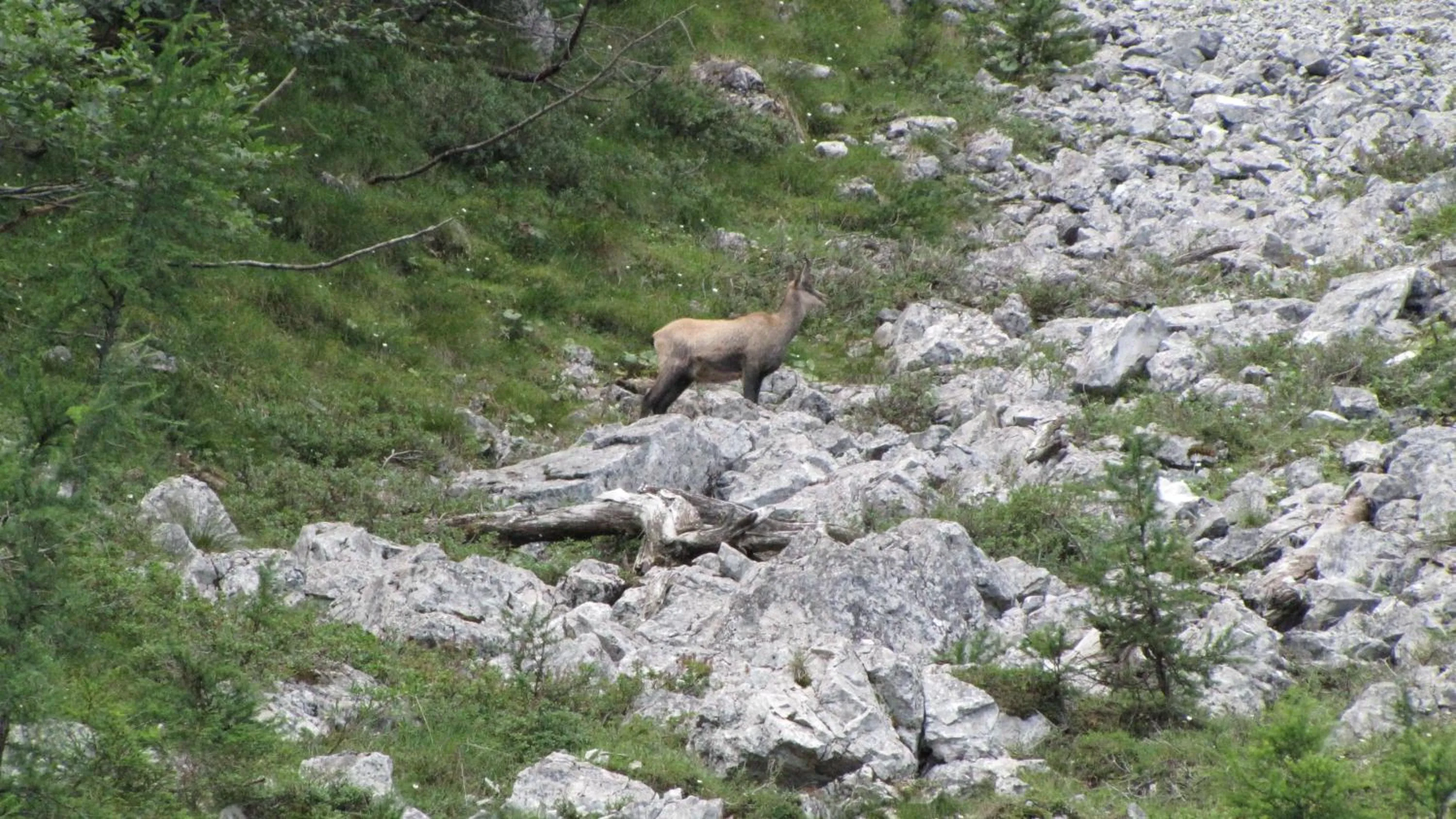 Hiking in Pension Sydler