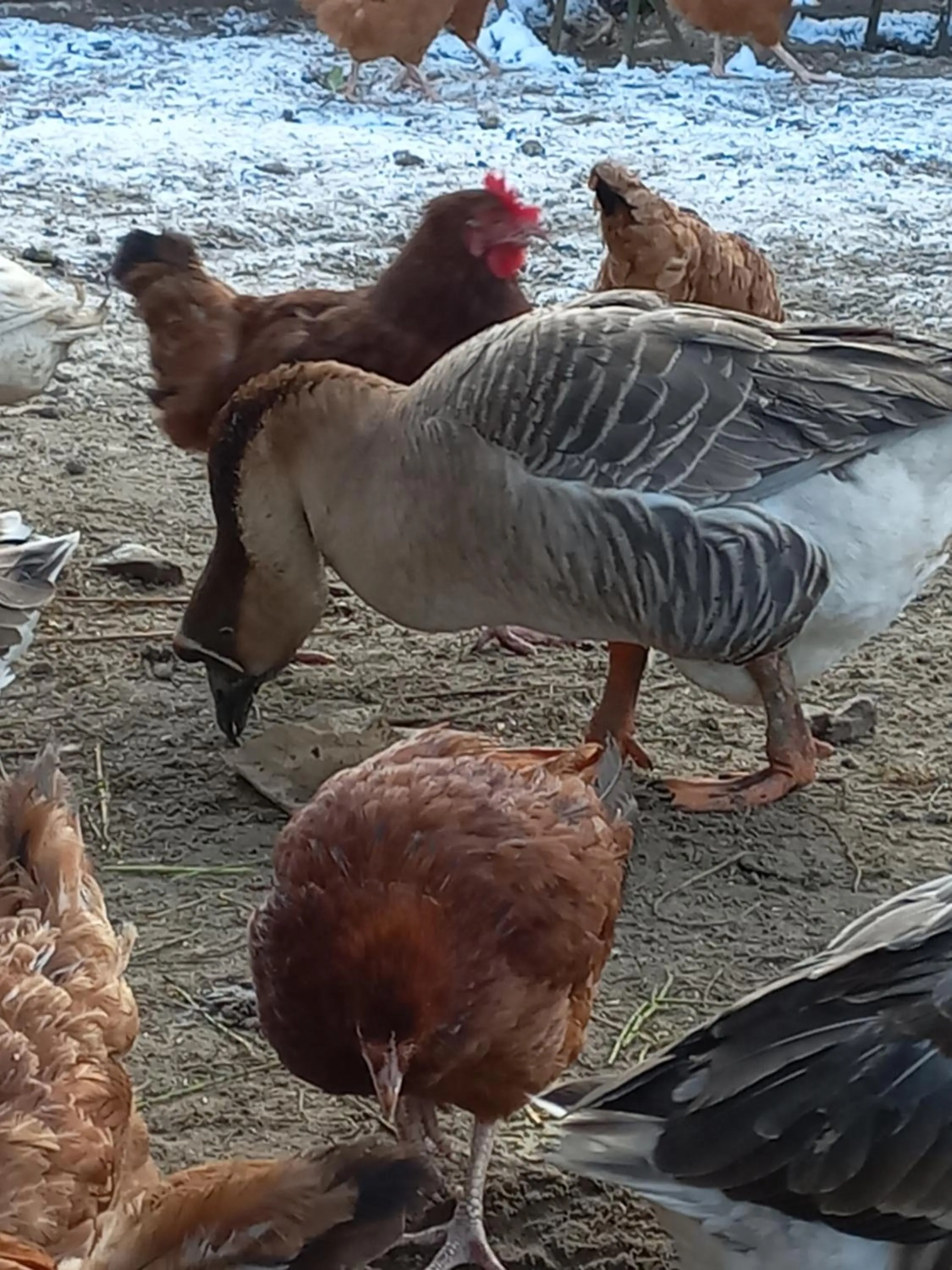 Agroturystyka Cold Sea