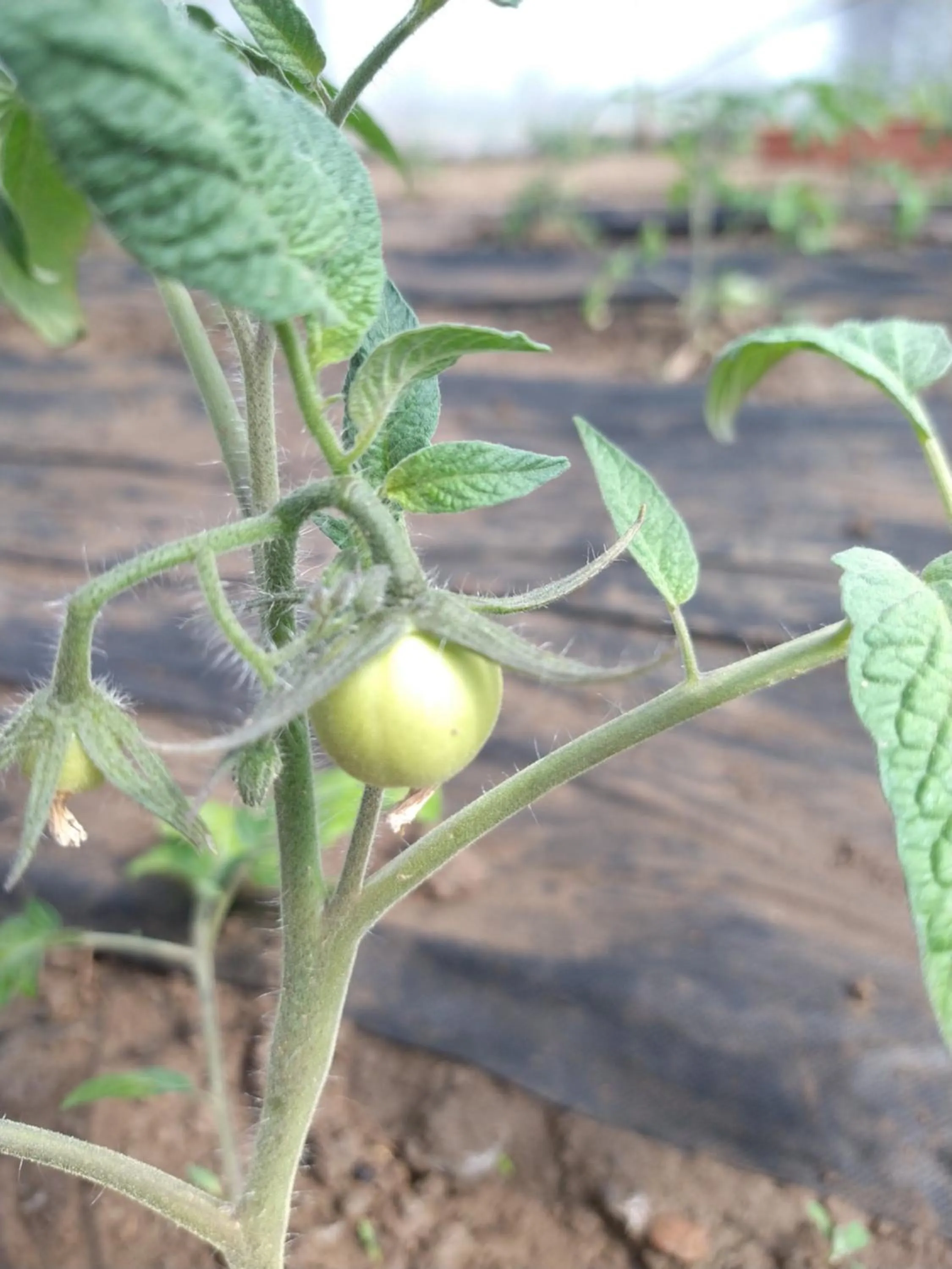 Agroturystyka Cold Sea