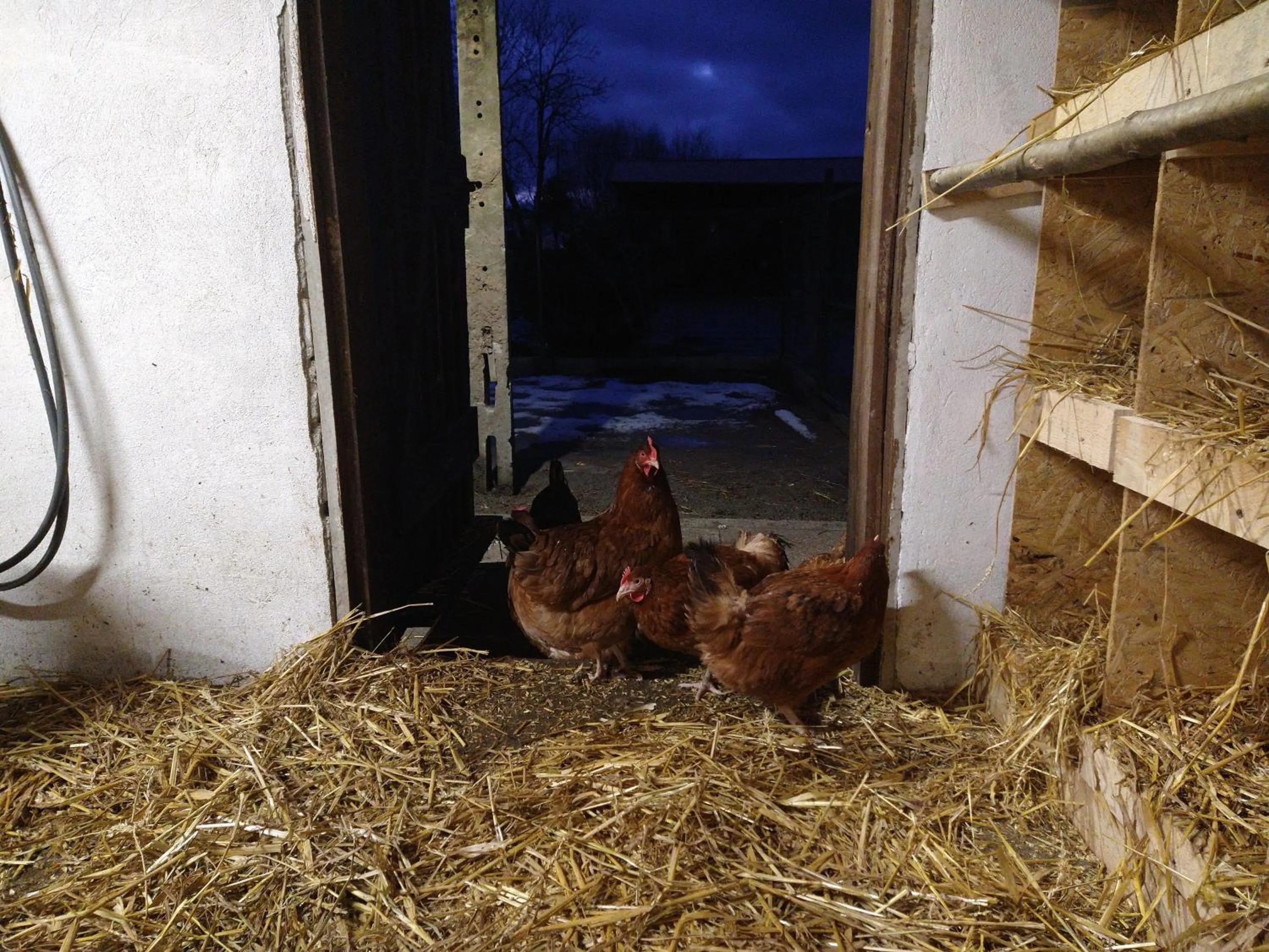 Agroturystyka Cold Sea