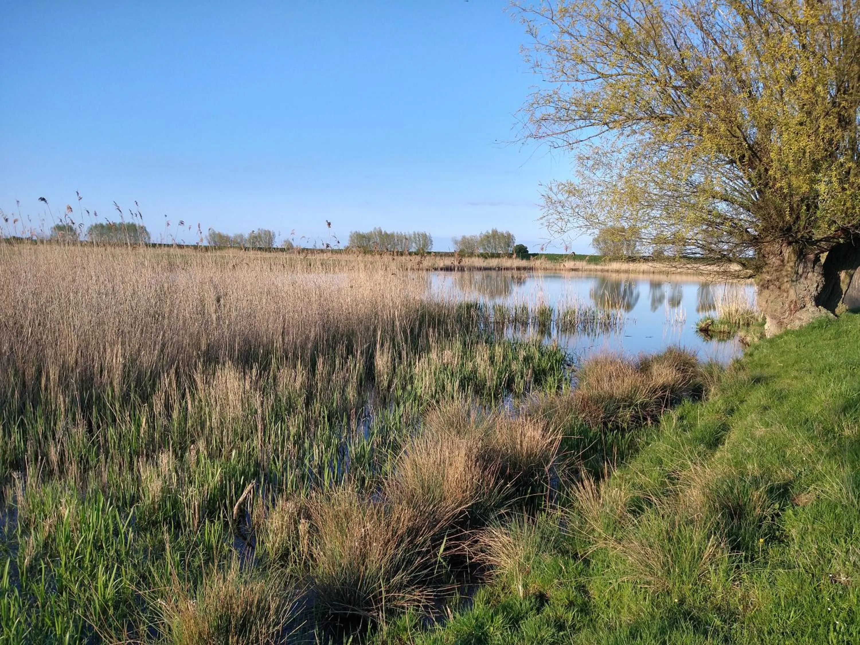Agroturystyka Cold Sea