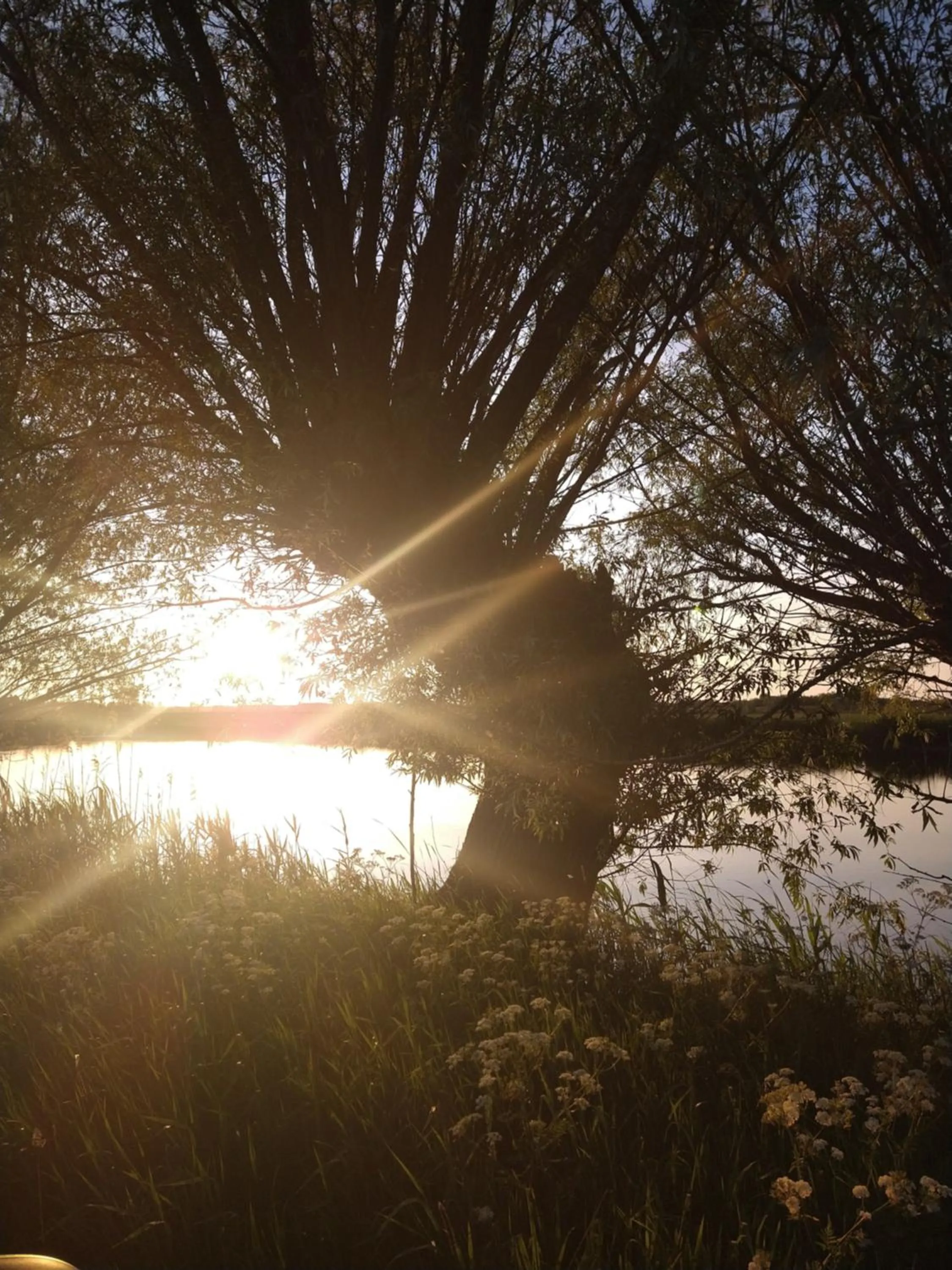 Natural landscape in Agroturystyka Cold Sea