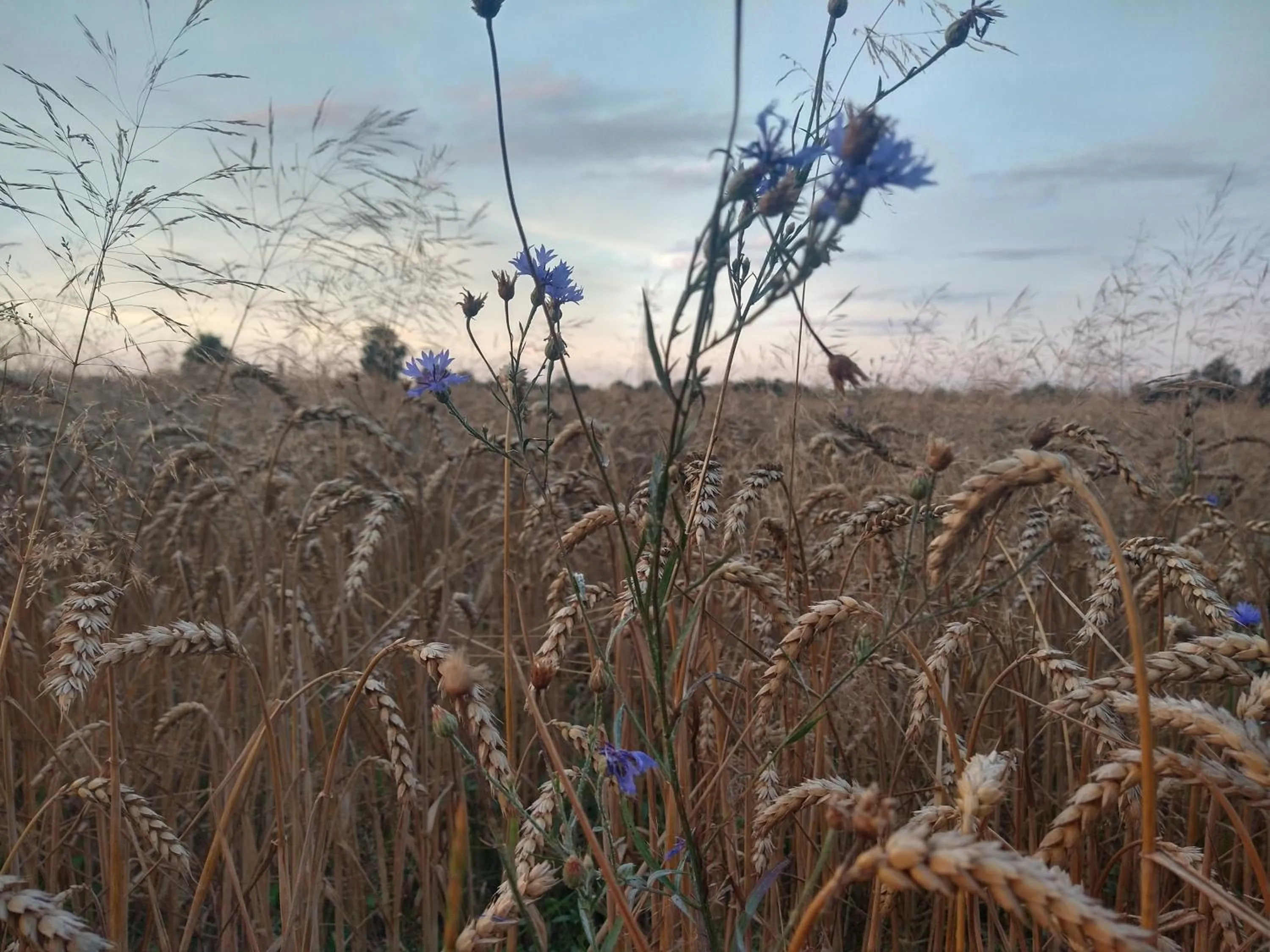 Agroturystyka Cold Sea