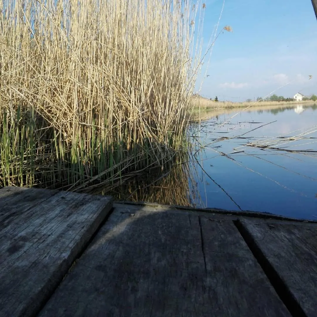 Agroturystyka Cold Sea
