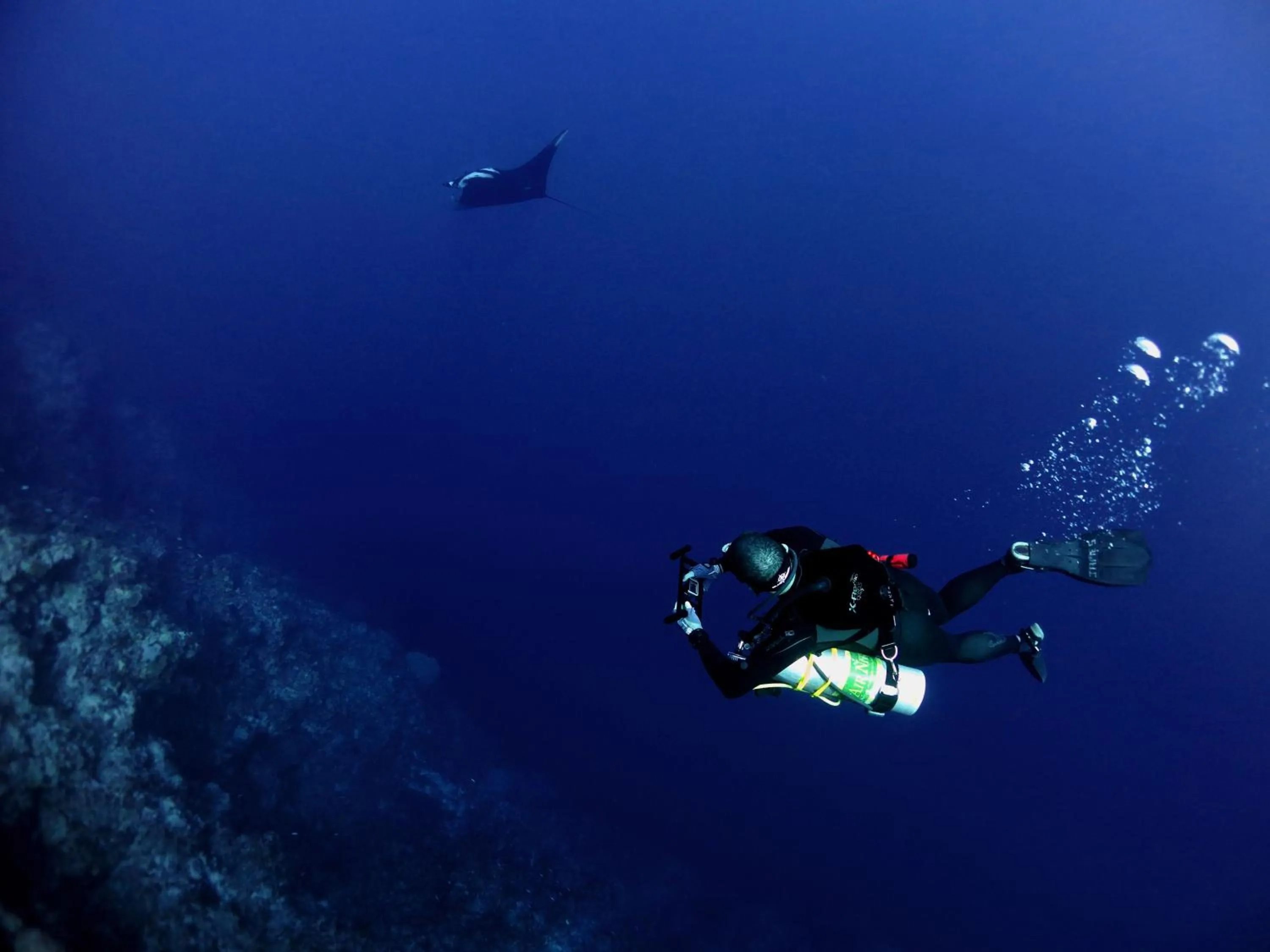 Diving in Poni Homestay