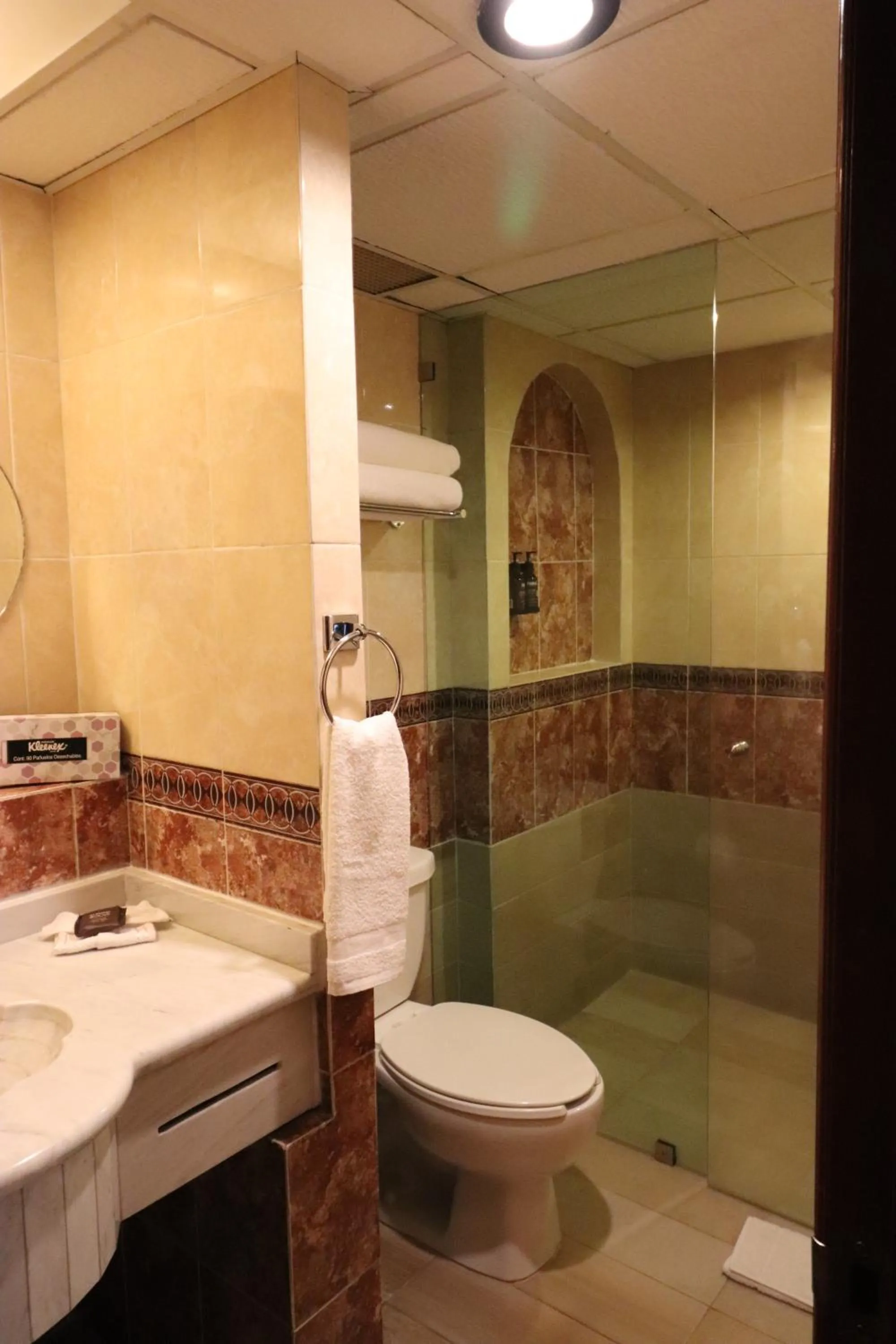 Shower in Best Western Plus Gran Marques