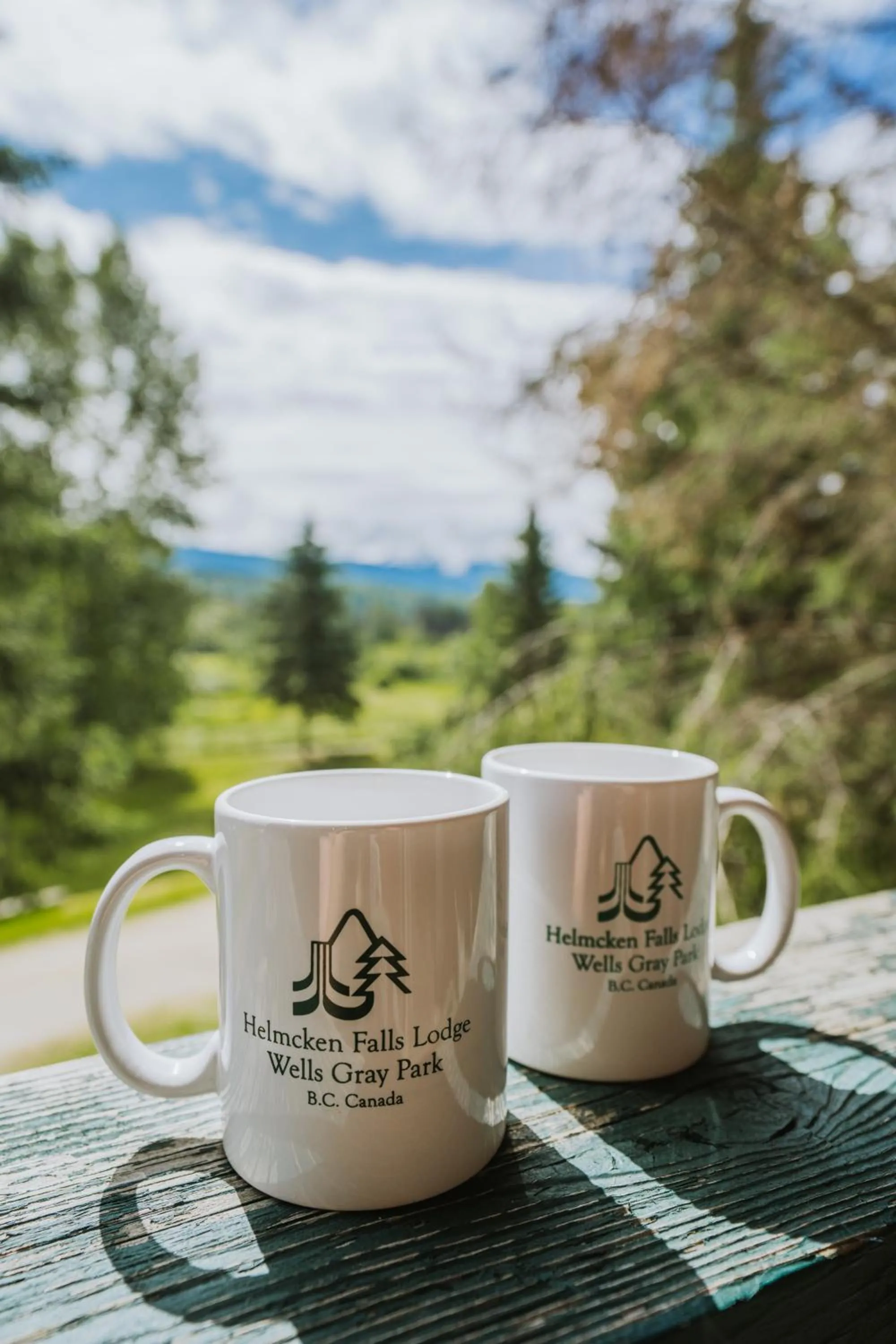 Helmcken Falls Lodge Cabin Rooms and RV Park