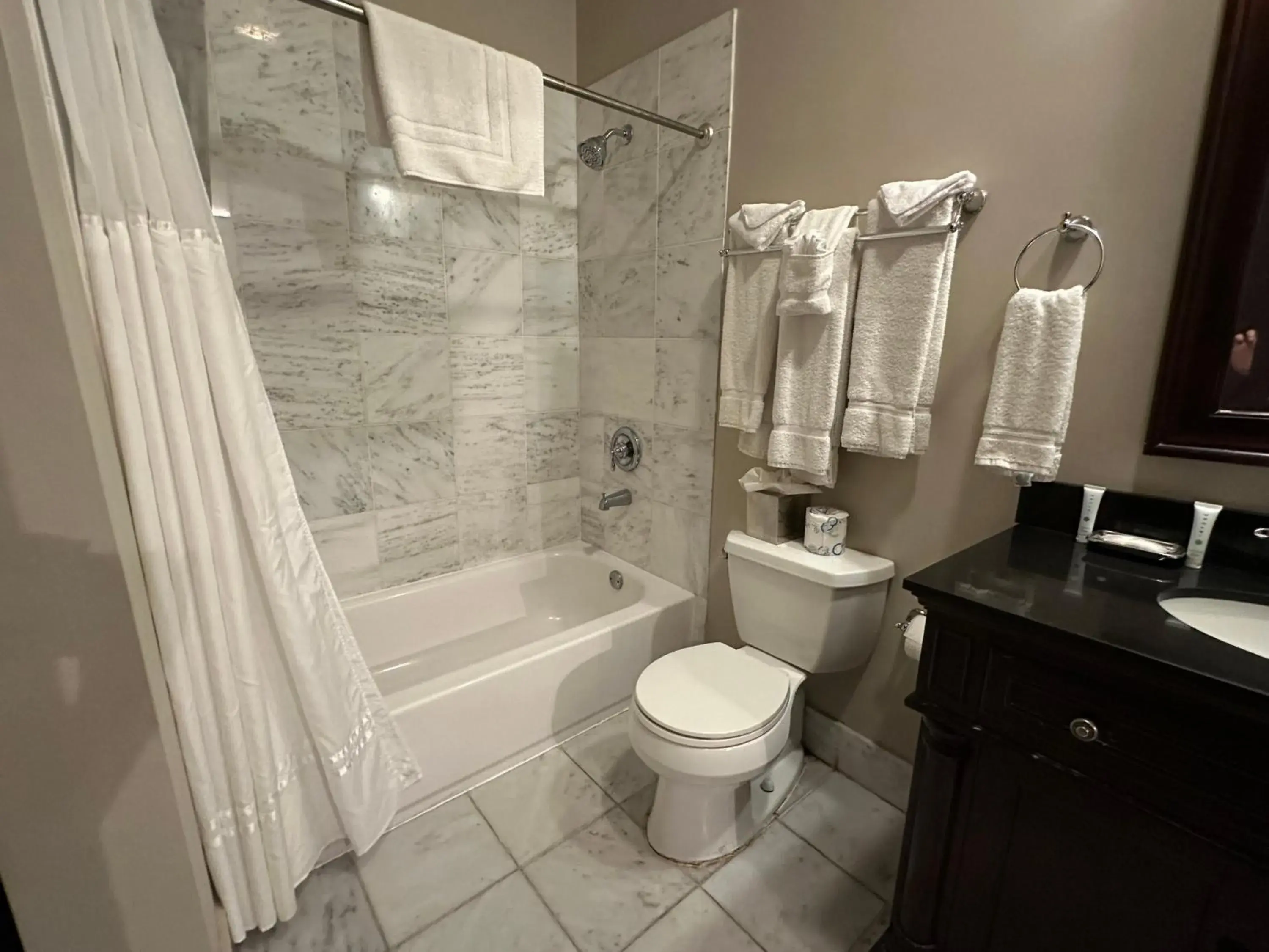 Bathroom in Inn on St. Ann, a French Quarter Guest Houses Property