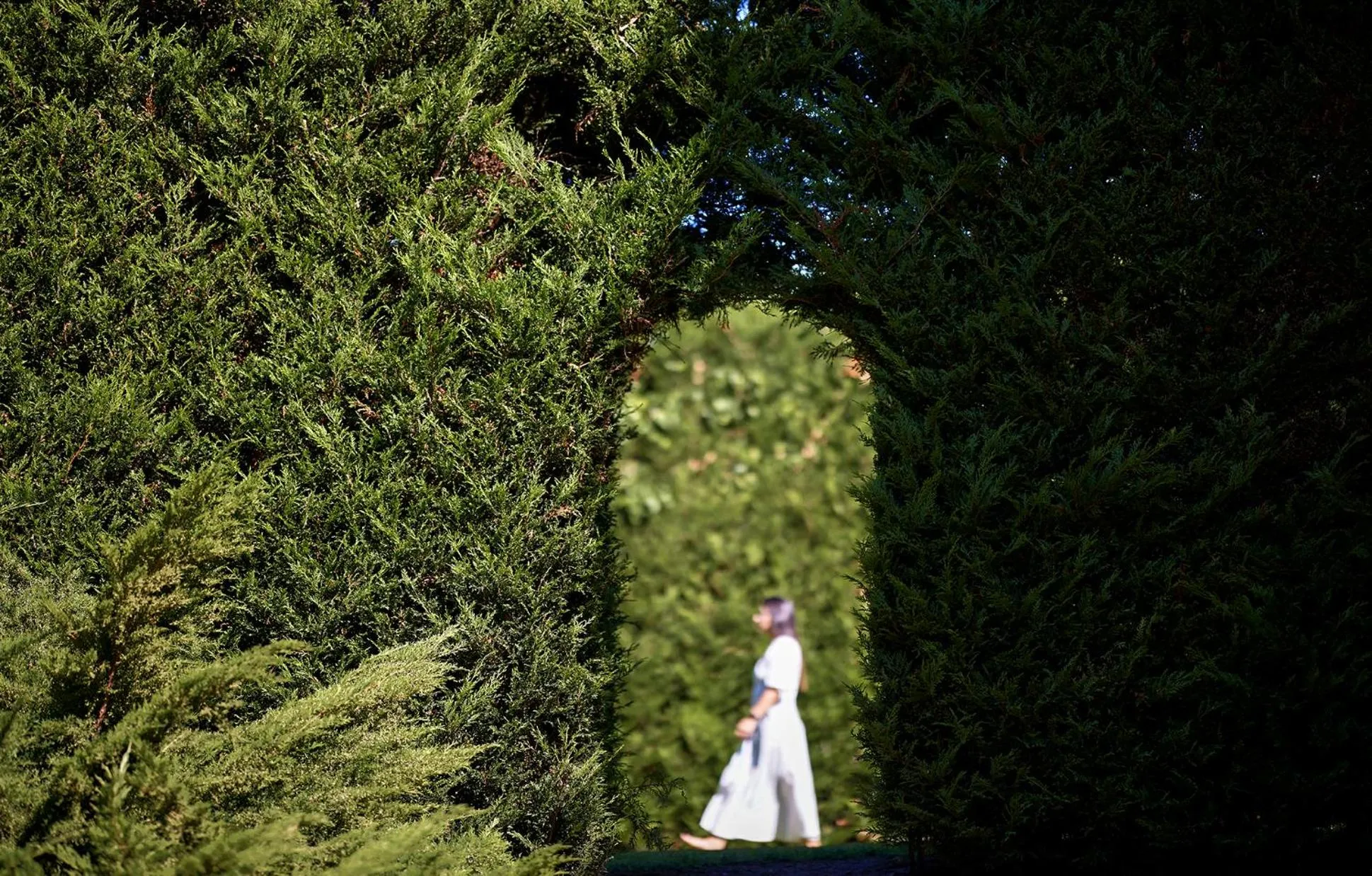 Garden in Palacio da Lousa Boutique Hotel