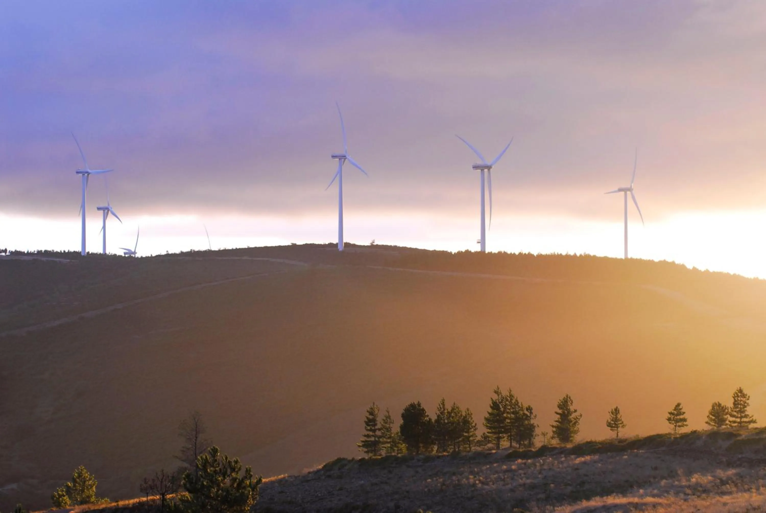 Natural landscape in Palacio da Lousa Boutique Hotel