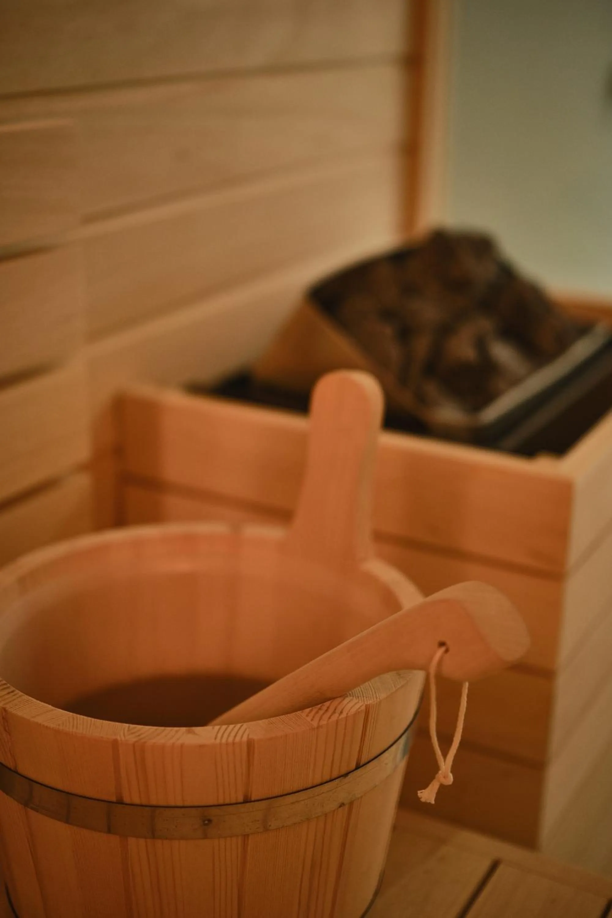 Sauna in Palacio da Lousa Boutique Hotel