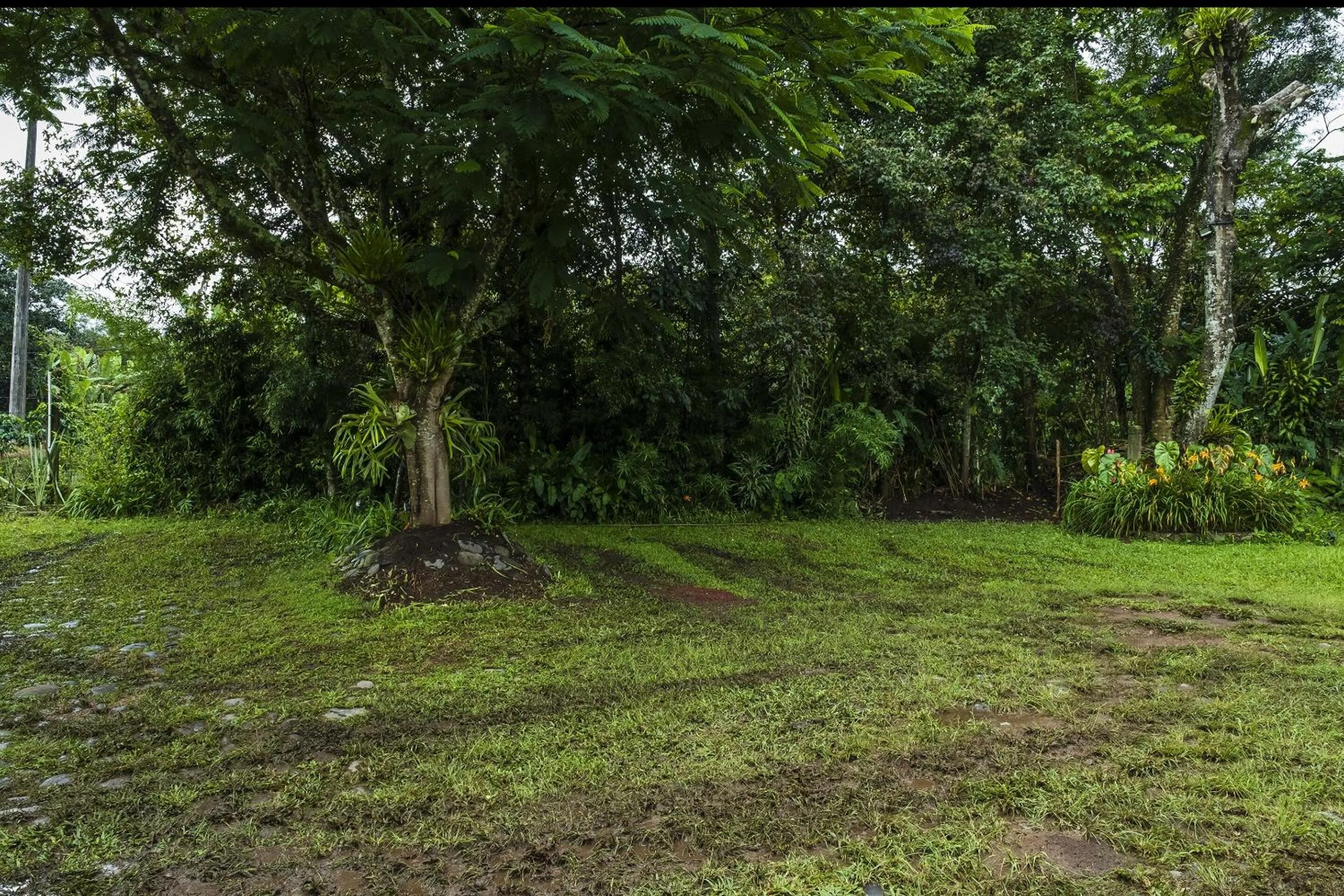 Garden in Posada La Querencia