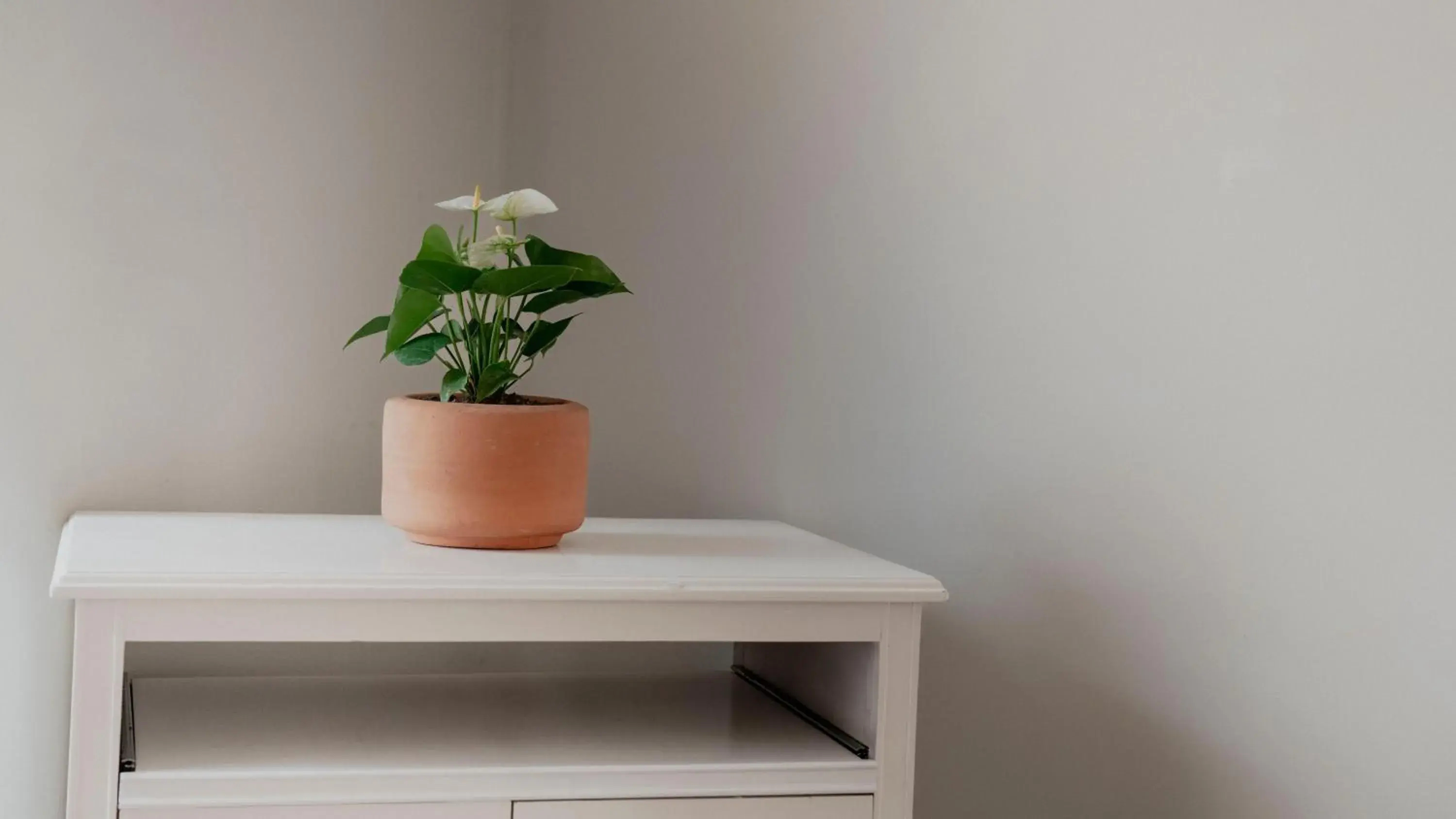 Spa and wellness centre/facilities in Casa Bonita Hotel & Luxury Residence Spa and wellness centre/facilities in Casa Bonita Hotel & Luxury Residence