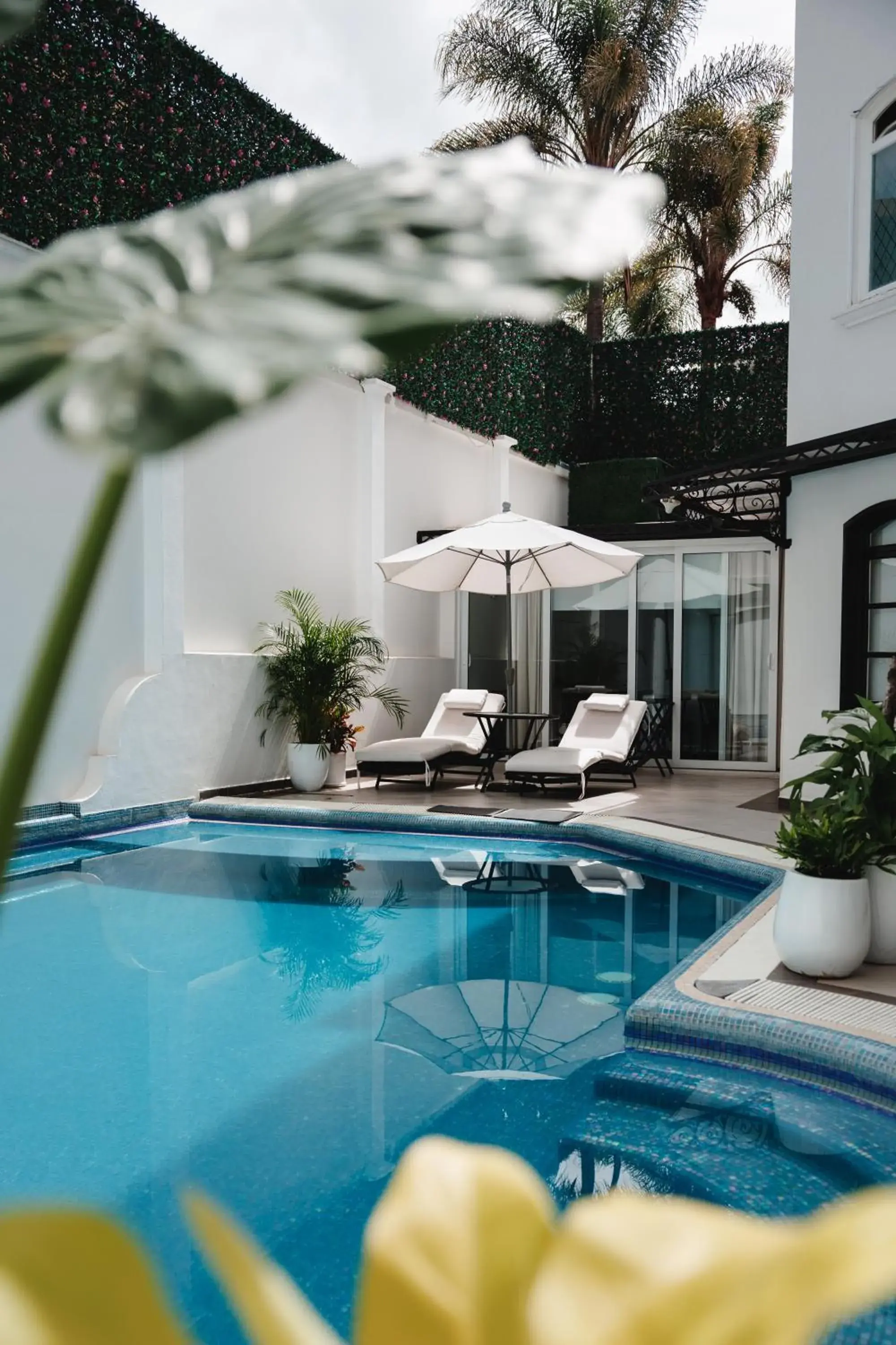 Swimming pool in Casa Bonita Hotel & Luxury Residence Swimming pool in Casa Bonita Hotel & Luxury Residence