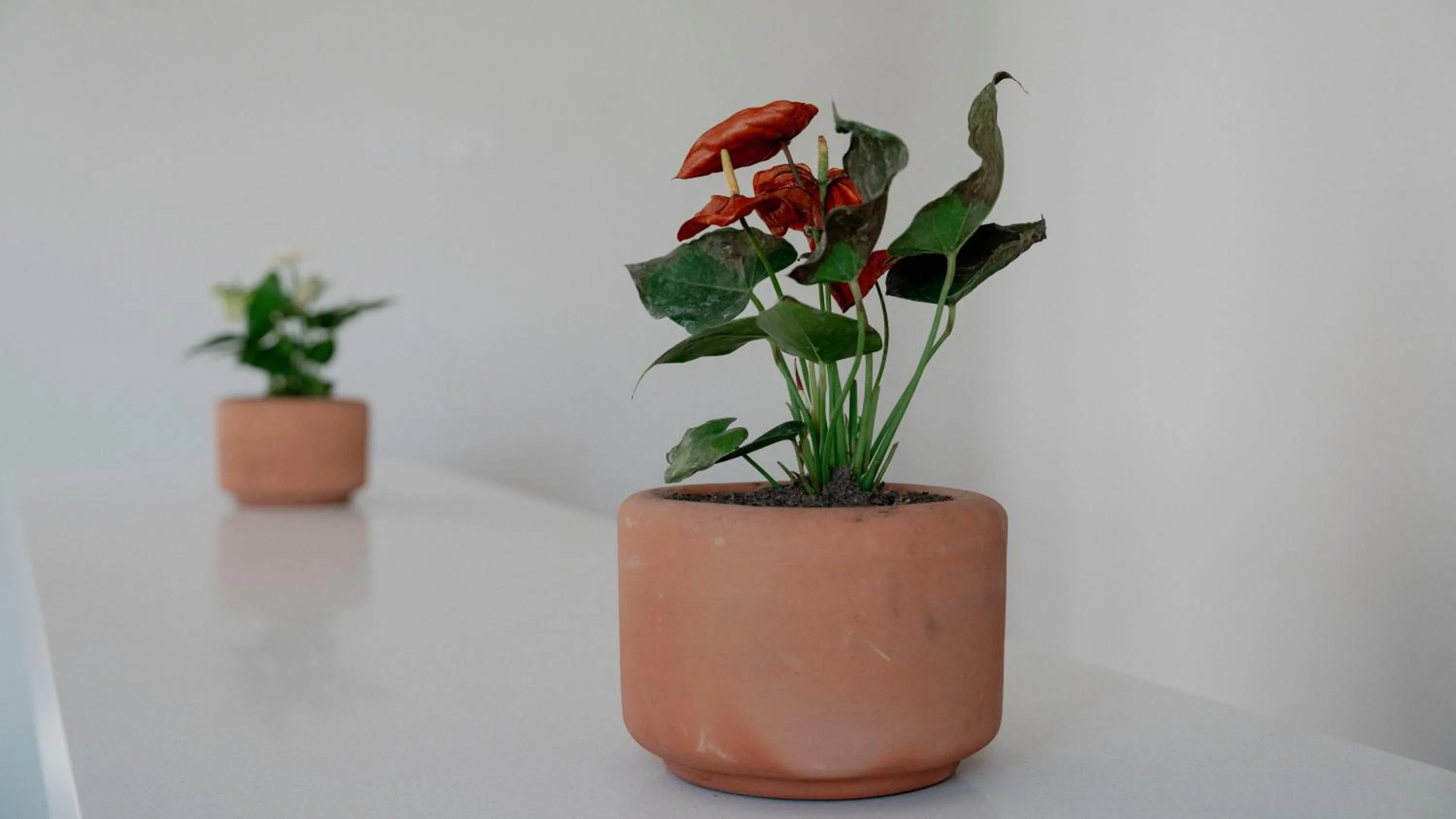 Casa Bonita Hotel & Luxury Residence