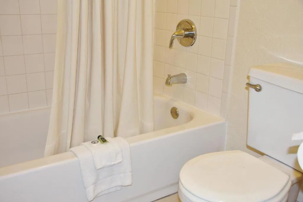 Toilet in Premier Inns Metro