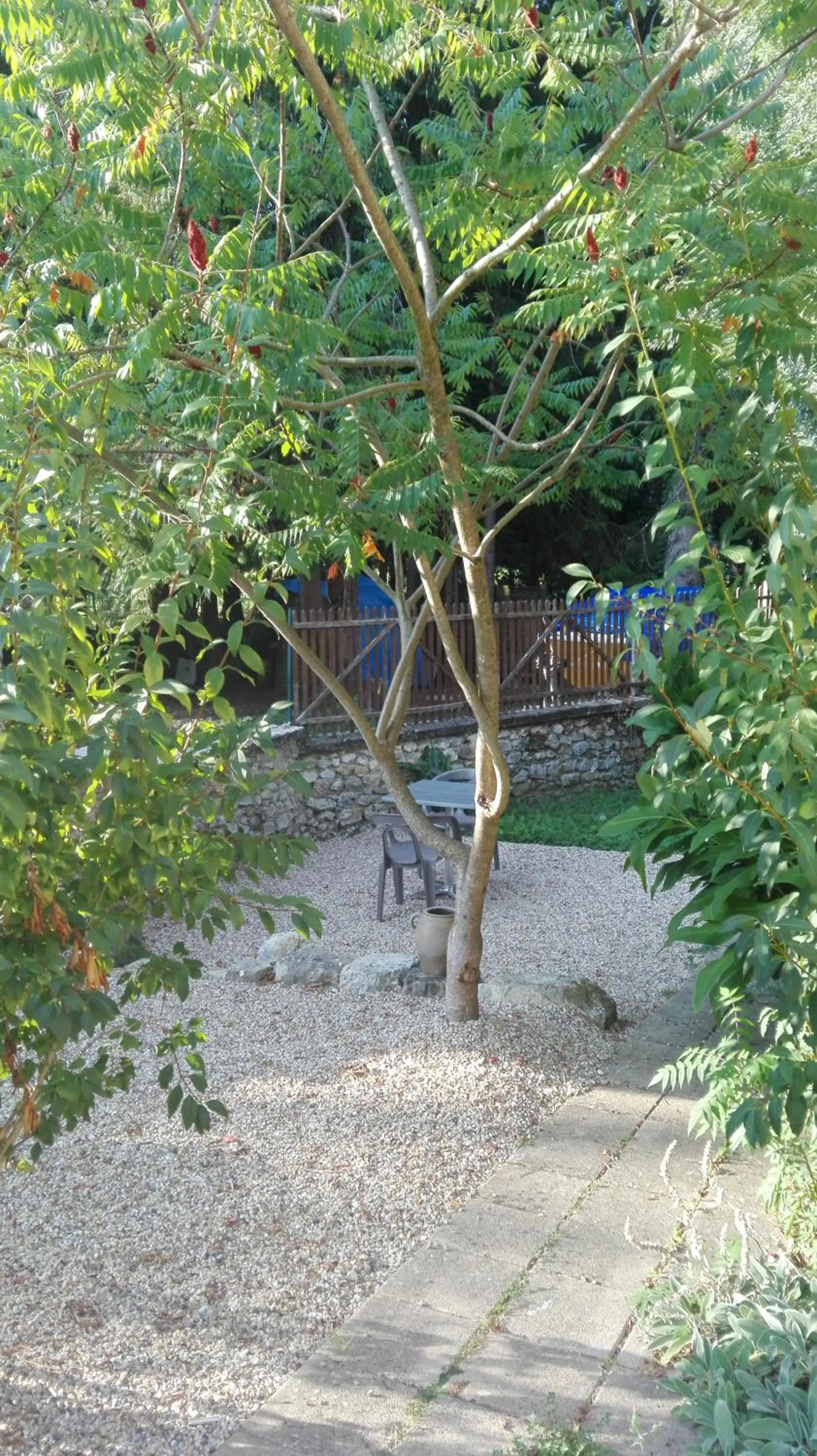 Natural landscape in Les Tamaris