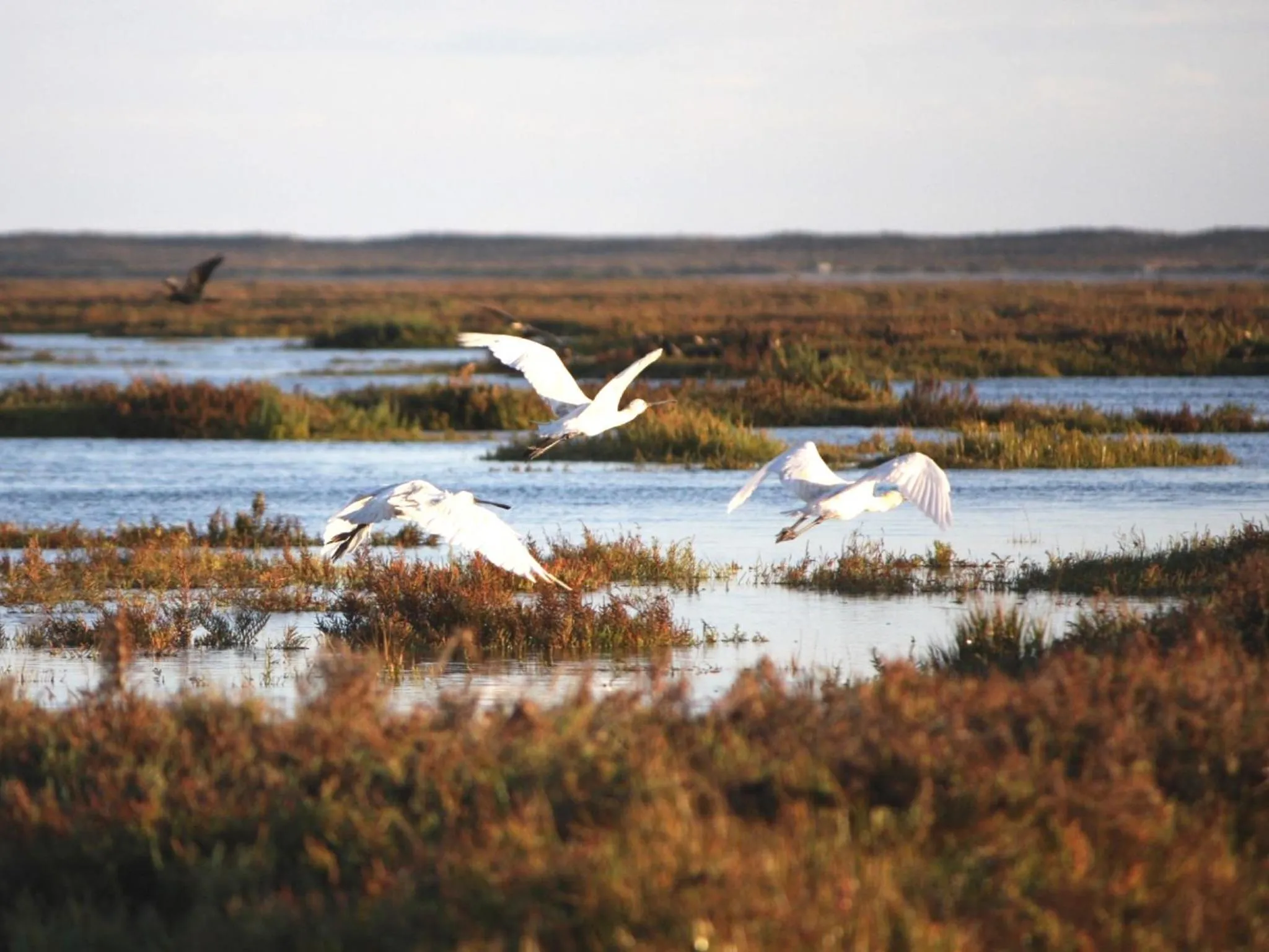 Natural landscape in Vale Do Garrao Villas