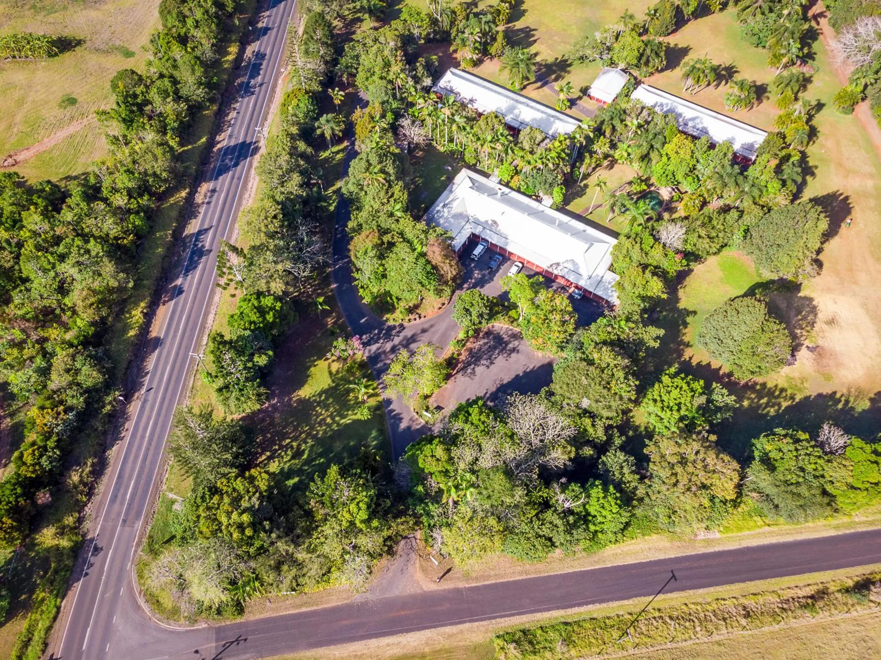 Bird's eye view in Malanda Lodge