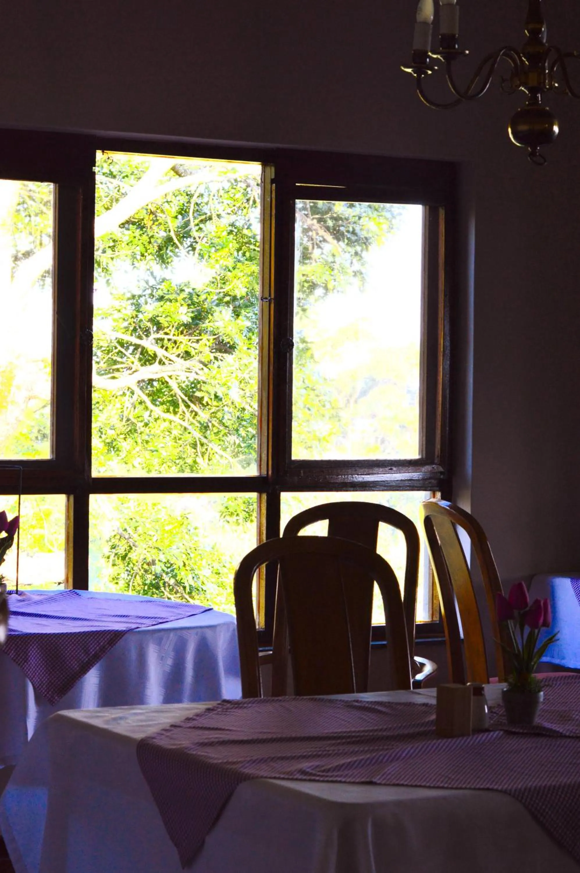 Banquet/Function facilities in Rehoboth Mountain Suites