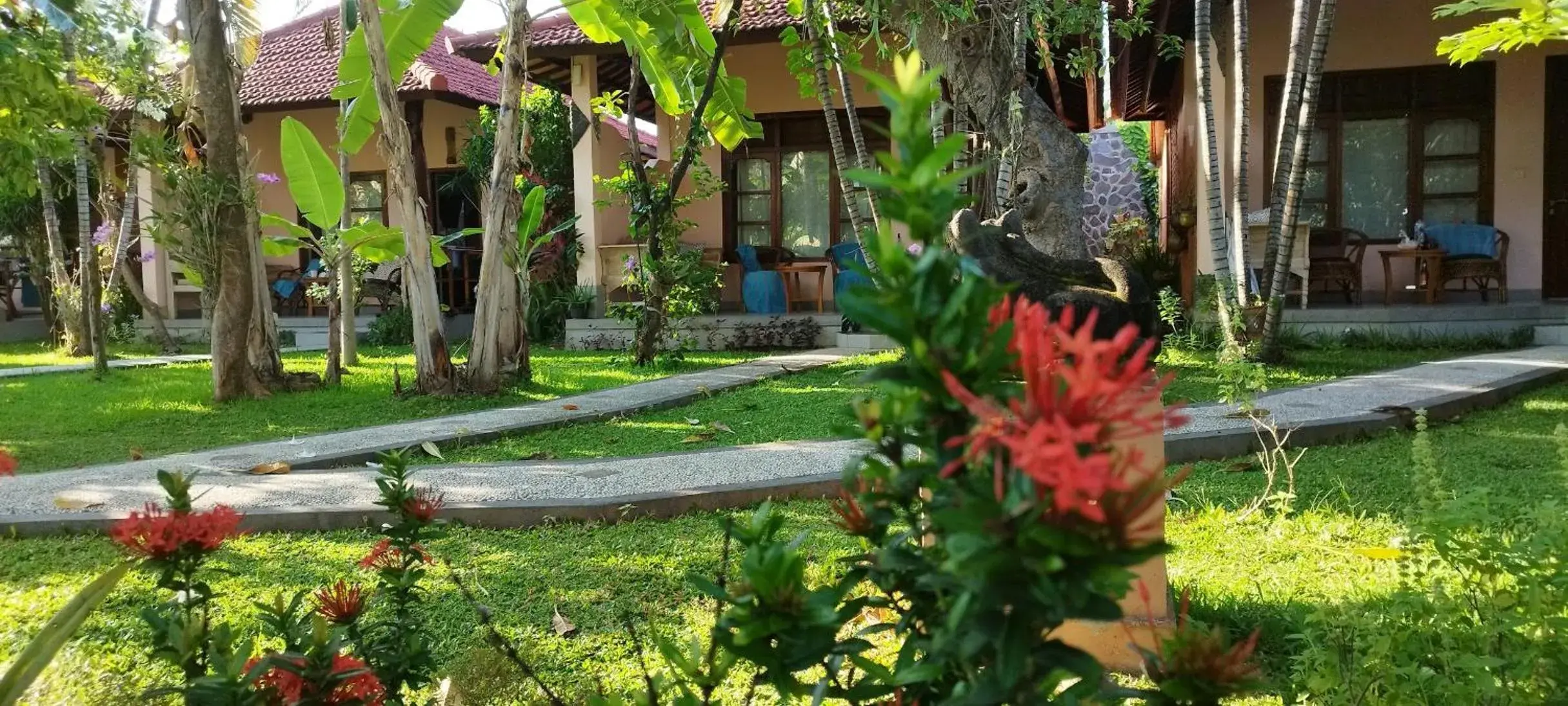 Natural landscape in 1000 Dream Bungalow Natural landscape in 1000 Dream Bungalow