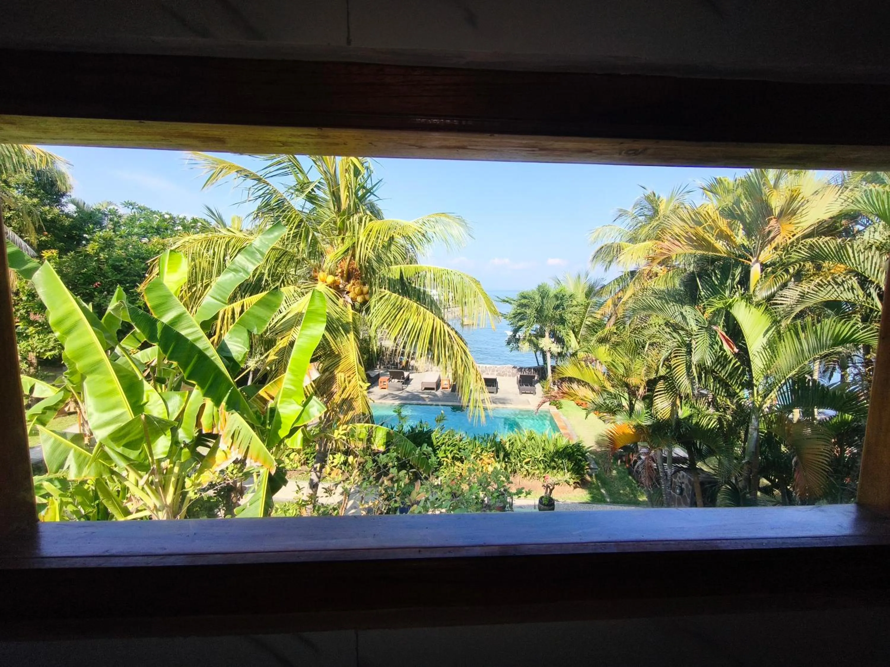 Garden view in 1000 Dream Bungalow