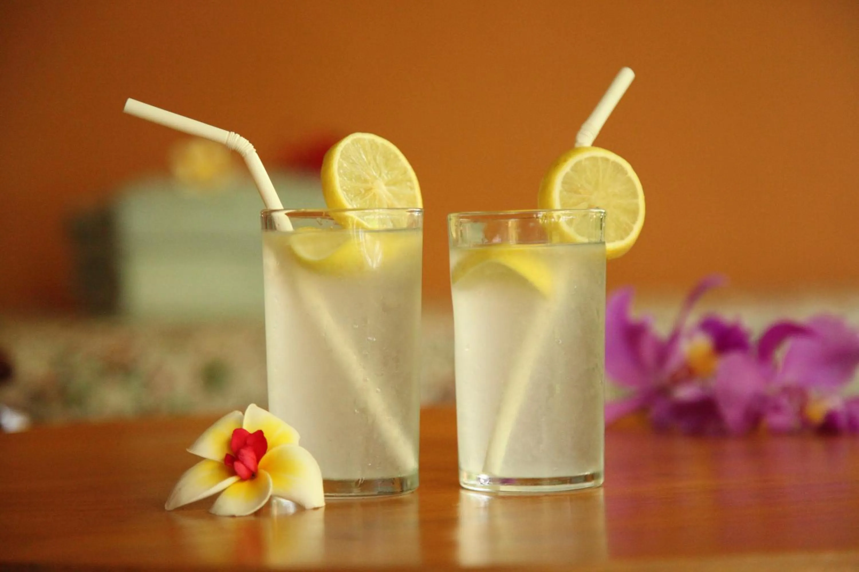 Drinks in 1000 Dream Bungalow