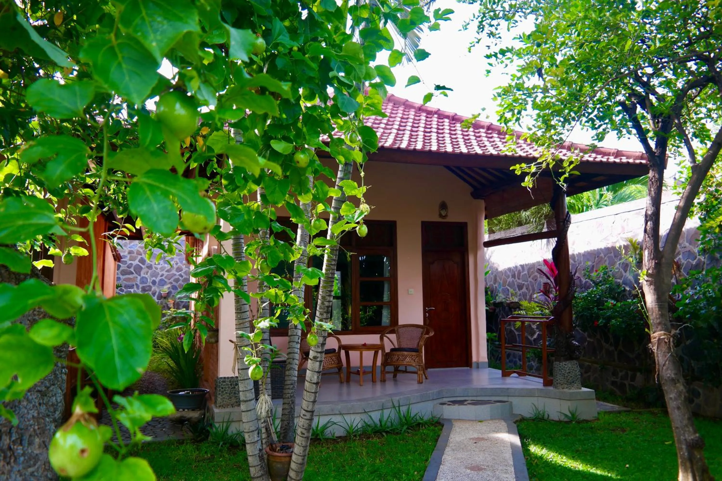 Garden in 1000 Dream Bungalow