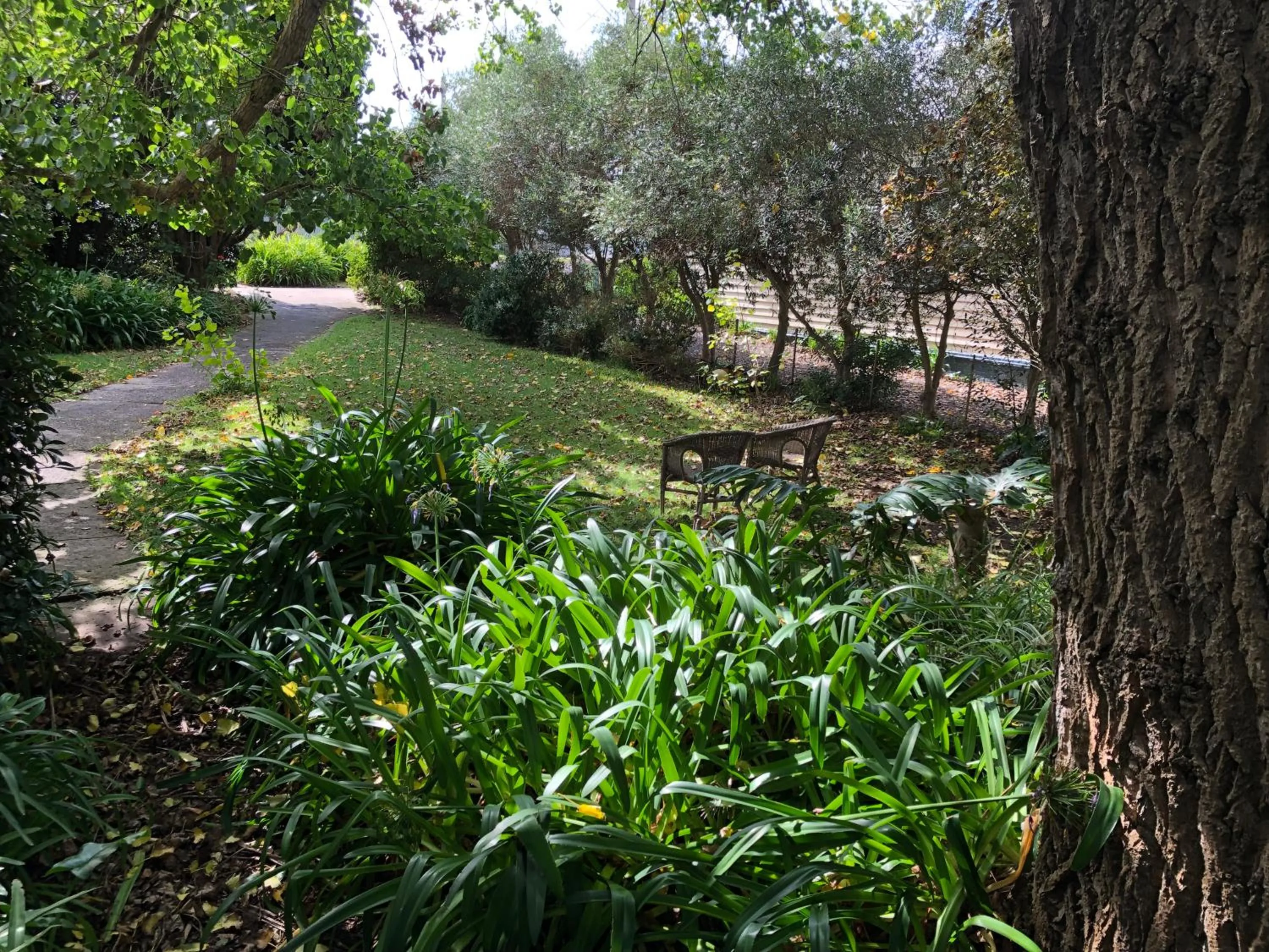 Garden in Lorelei Bed & Breakfast