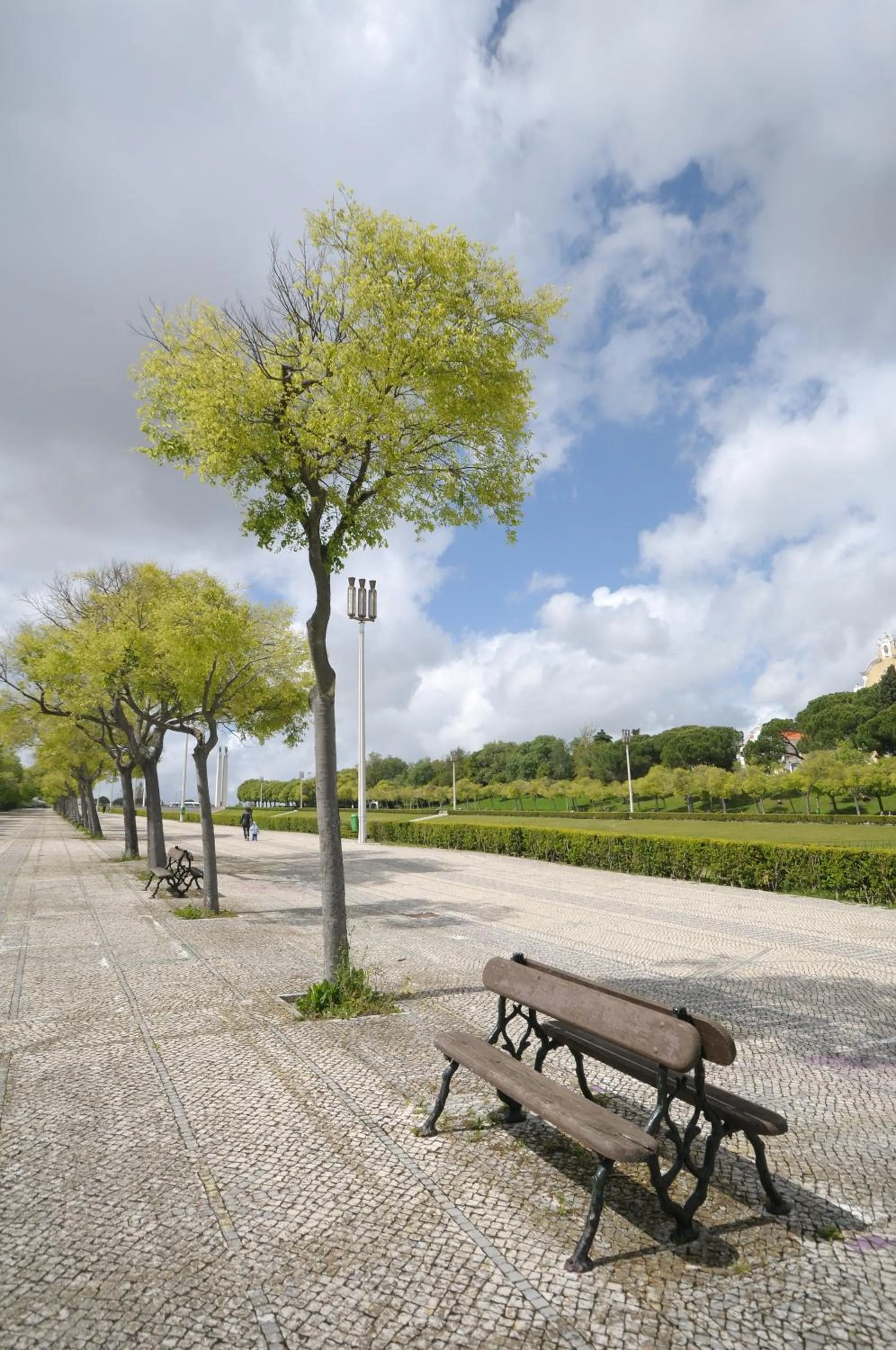 Natural landscape in Lisboa Central Park Hotel Suites & Studios