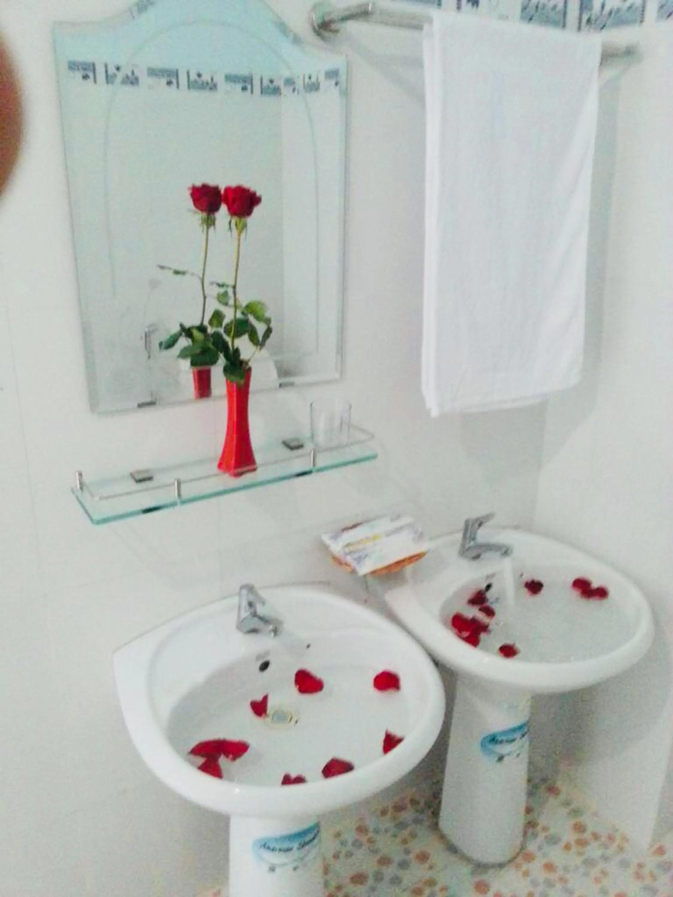 Hotel Hồng Hạc nha trang