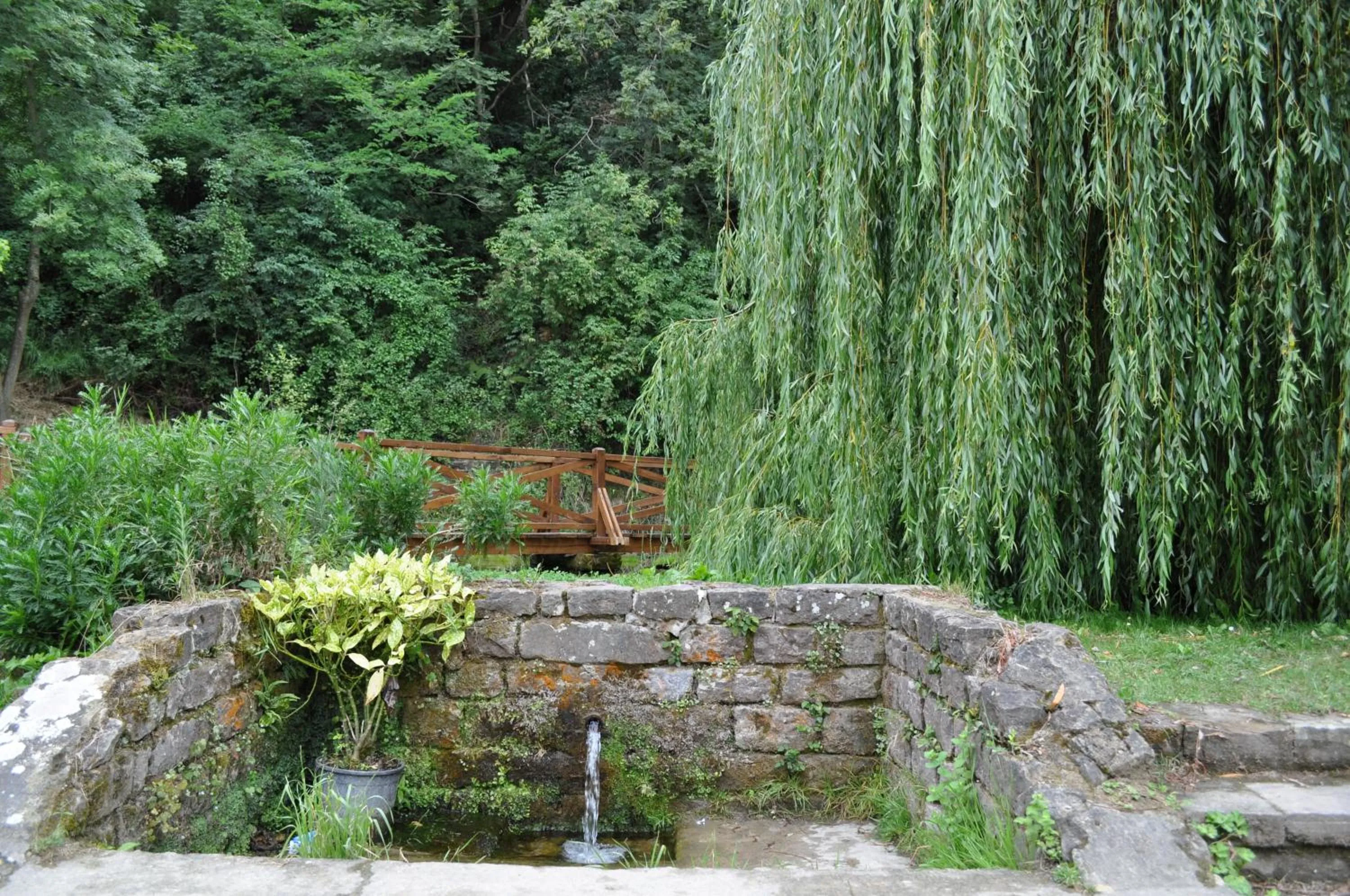 Street view in El Bosque de La Anjana