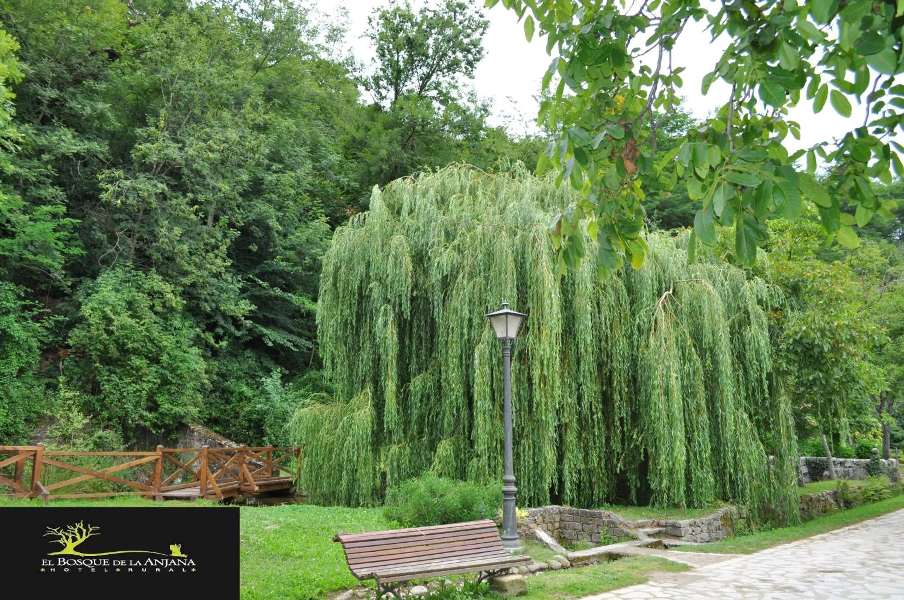 Street view in El Bosque de La Anjana