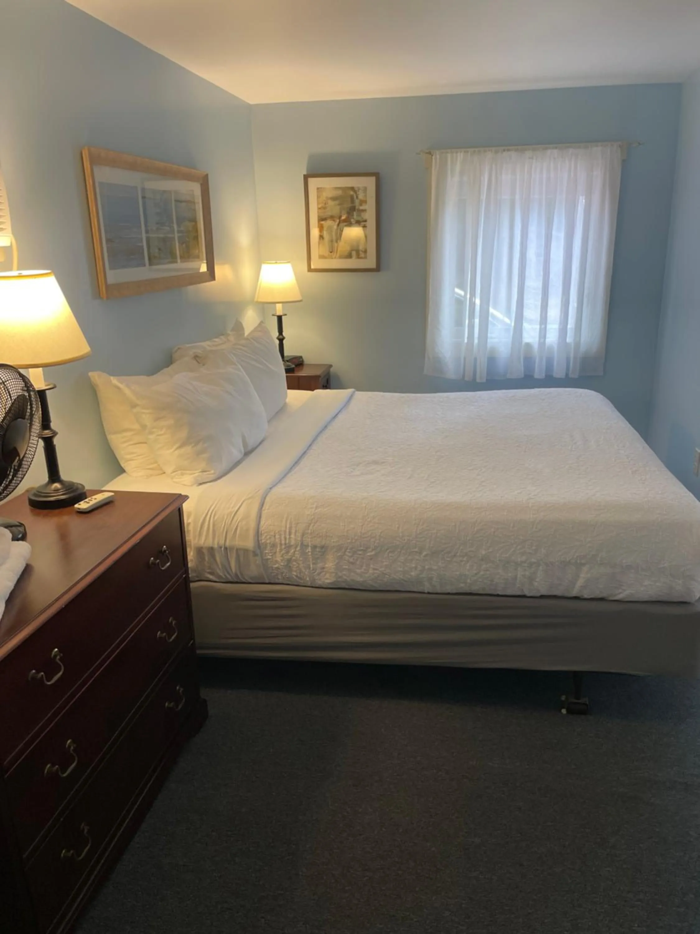 Bed in Elmwood Motor Court