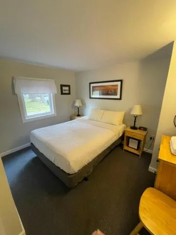 Bed in Elmwood Motor Court