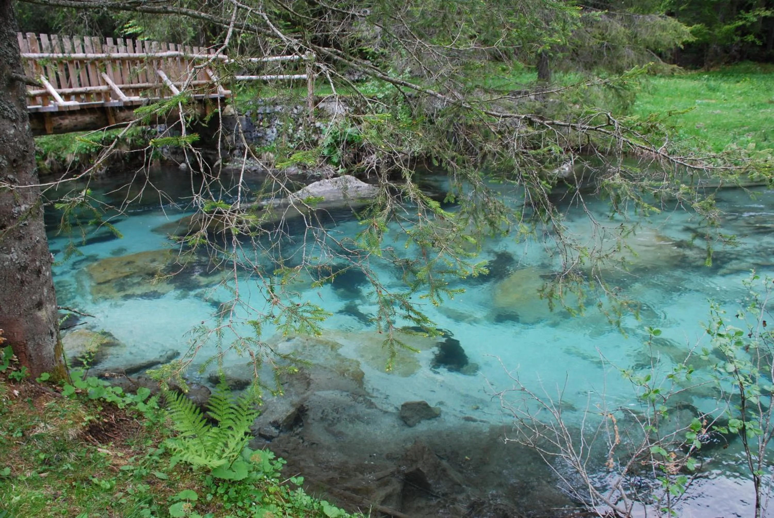 Fishing in Hotel Vezzano
