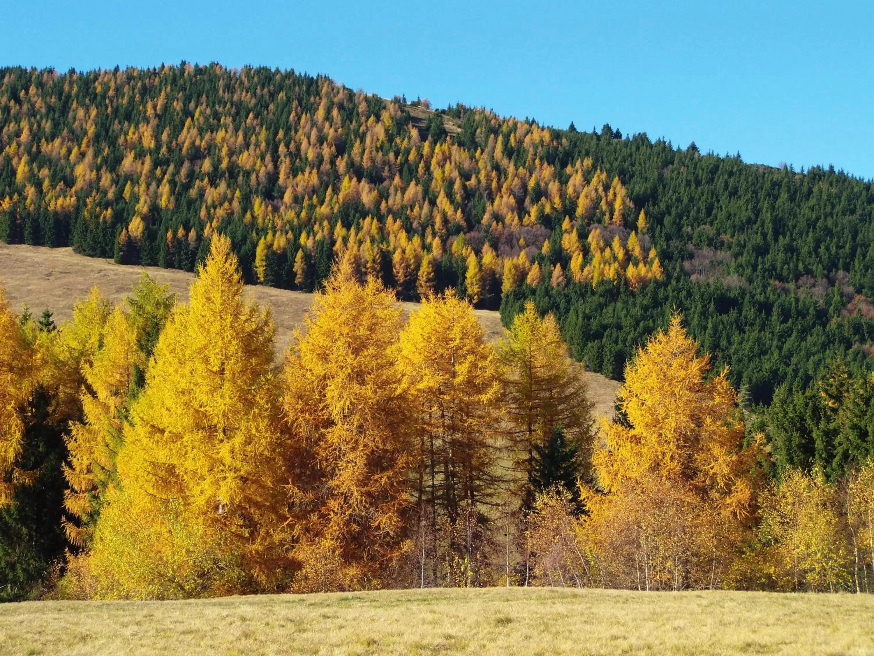 Natural landscape in Hotel Vezzano